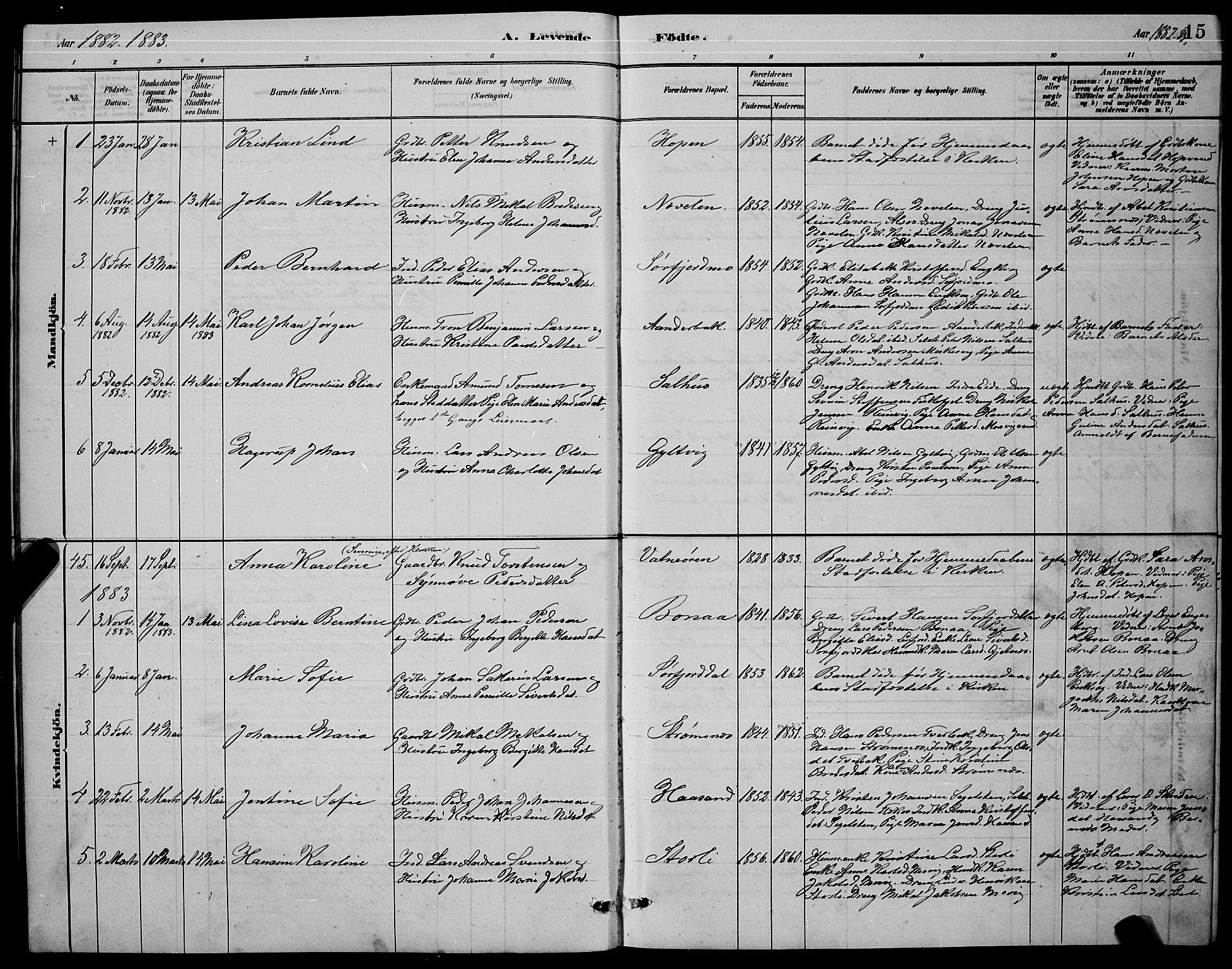 Ministerialprotokoller, klokkerbøker og fødselsregistre - Nordland, SAT/A-1459/853/L0772: Ministerialbok nr. 853A11, 1881-1900, s. 15