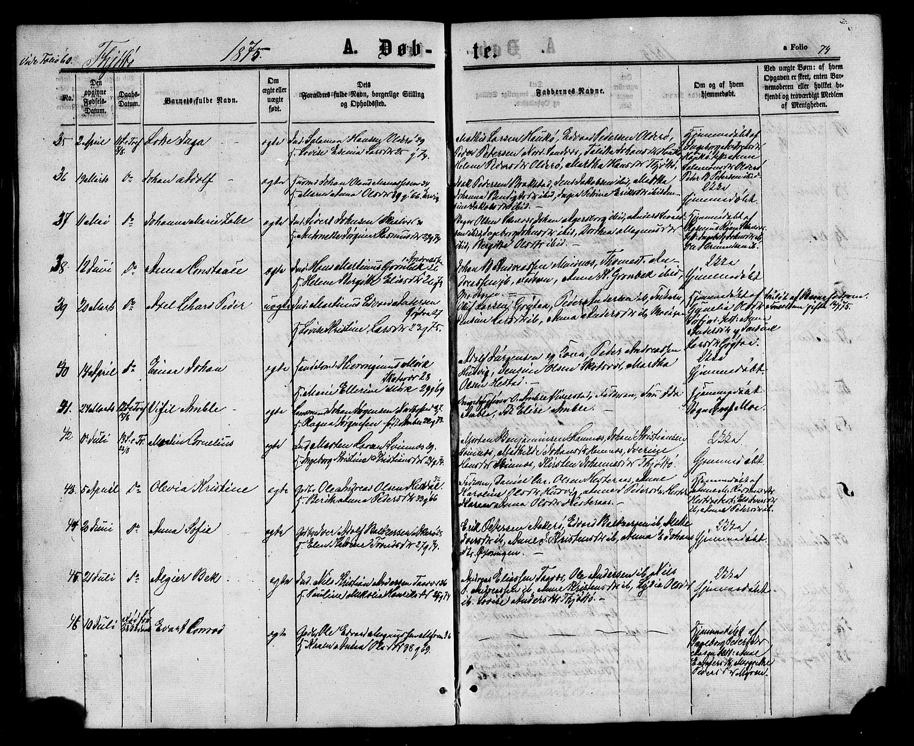 Ministerialprotokoller, klokkerbøker og fødselsregistre - Nordland, AV/SAT-A-1459/817/L0262: Ministerialbok nr. 817A03/ 1, 1862-1877, s. 74