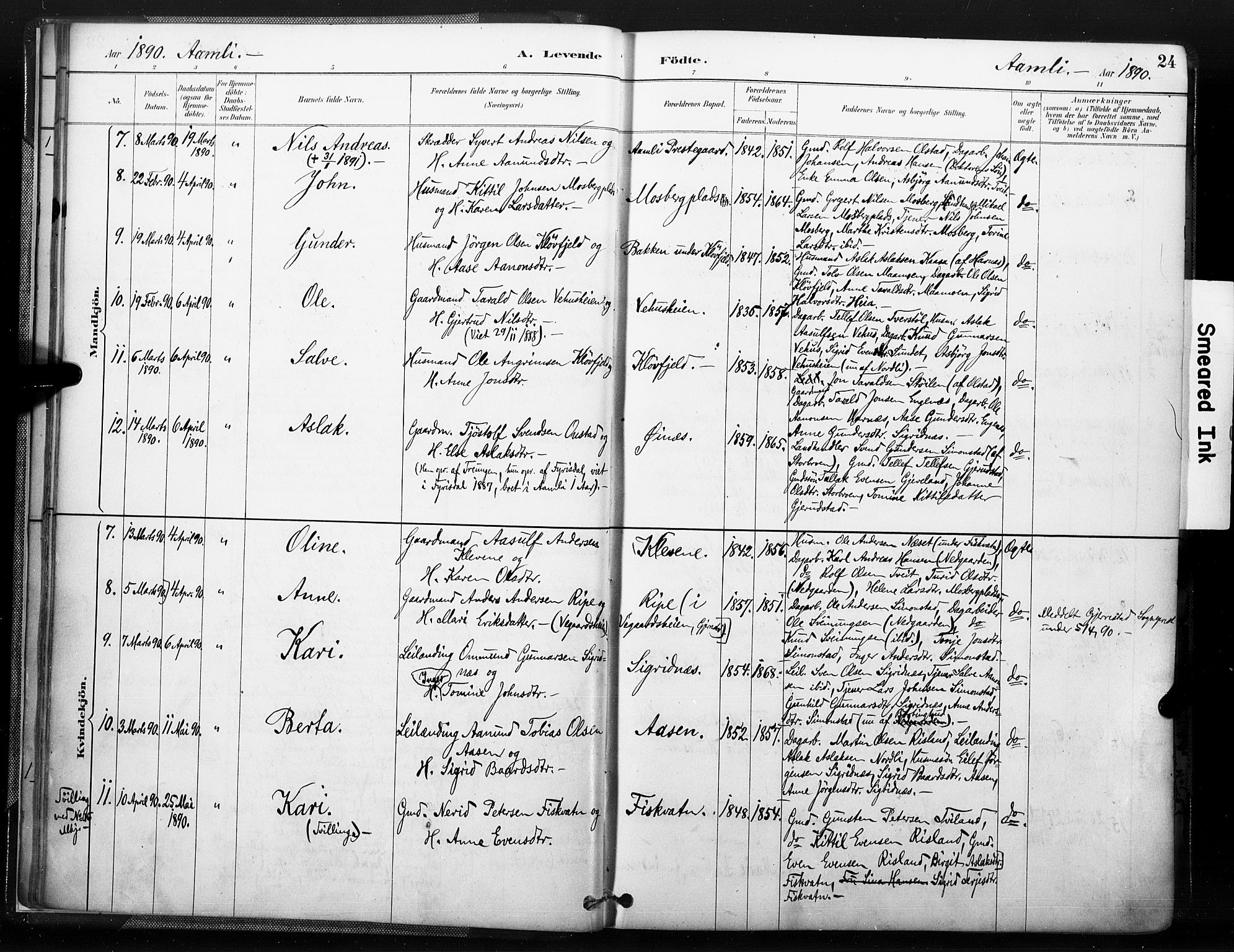 Åmli sokneprestkontor, AV/SAK-1111-0050/F/Fa/Fac/L0010: Ministerialbok nr. A 10 /1, 1885-1899, s. 24