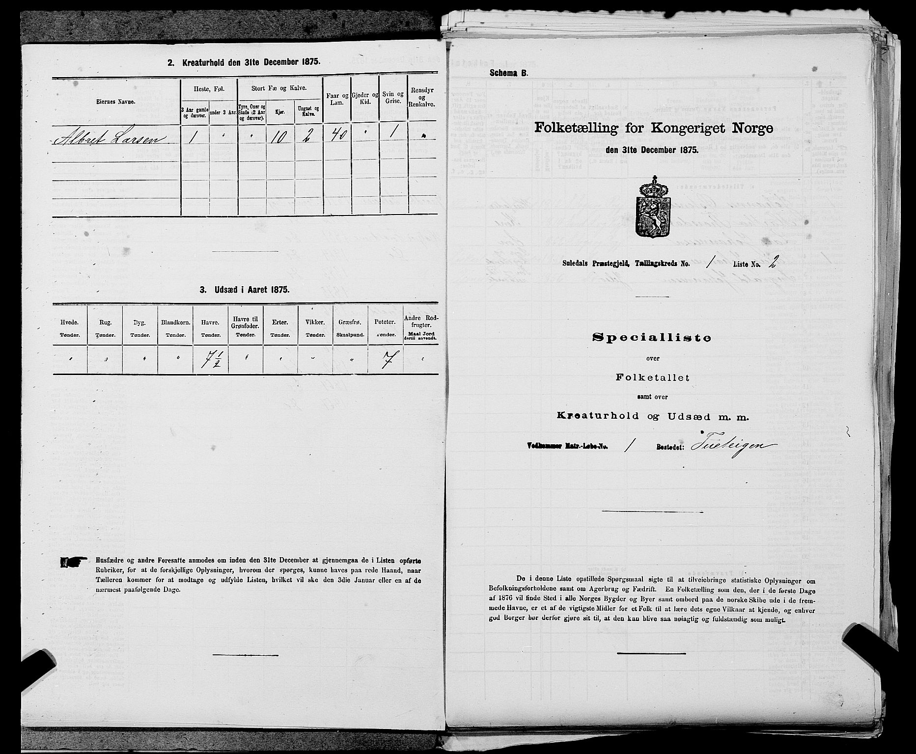 SAST, Folketelling 1875 for 1134P Suldal prestegjeld, 1875, s. 35