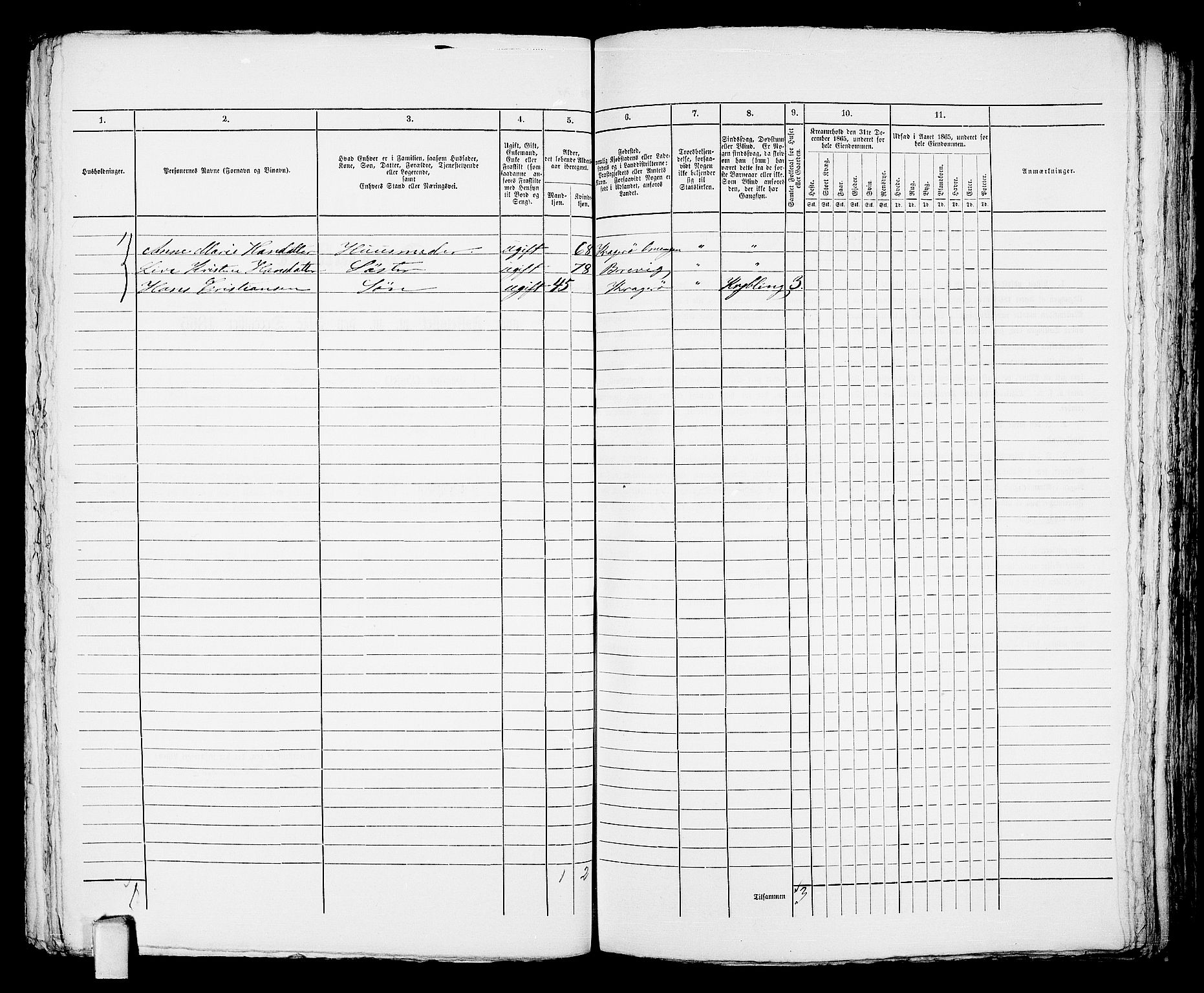 RA, Folketelling 1865 for 0801B Kragerø prestegjeld, Kragerø kjøpstad, 1865, s. 317