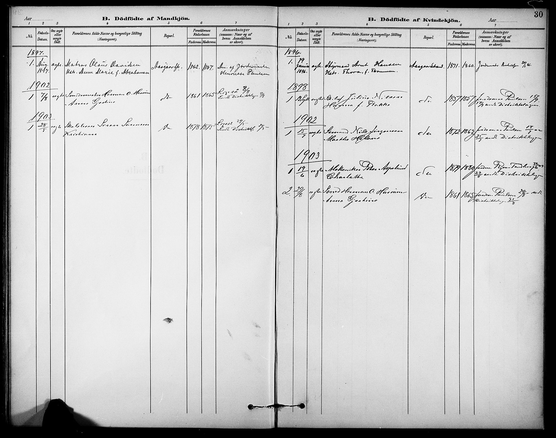 Borre kirkebøker, AV/SAKO-A-338/F/Fb/L0002: Ministerialbok nr. II 2, 1893-1905, s. 30