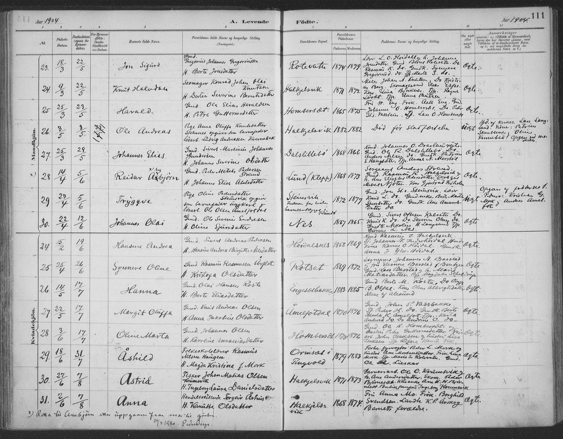 Ministerialprotokoller, klokkerbøker og fødselsregistre - Møre og Romsdal, AV/SAT-A-1454/511/L0142: Ministerialbok nr. 511A09, 1891-1905, s. 111
