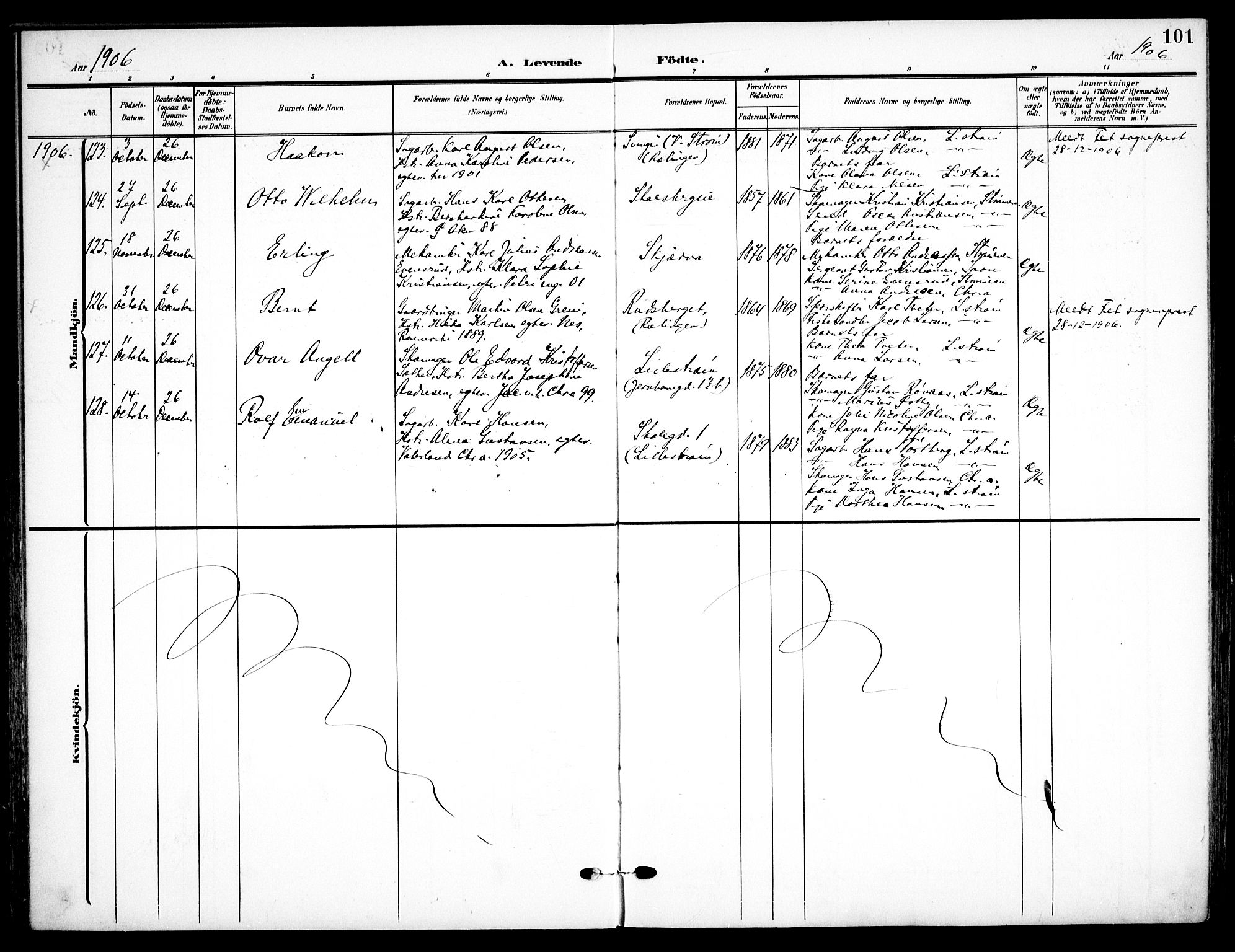 Skedsmo prestekontor Kirkebøker, AV/SAO-A-10033a/F/Fa/L0015: Ministerialbok nr. I 15, 1902-1917, s. 101