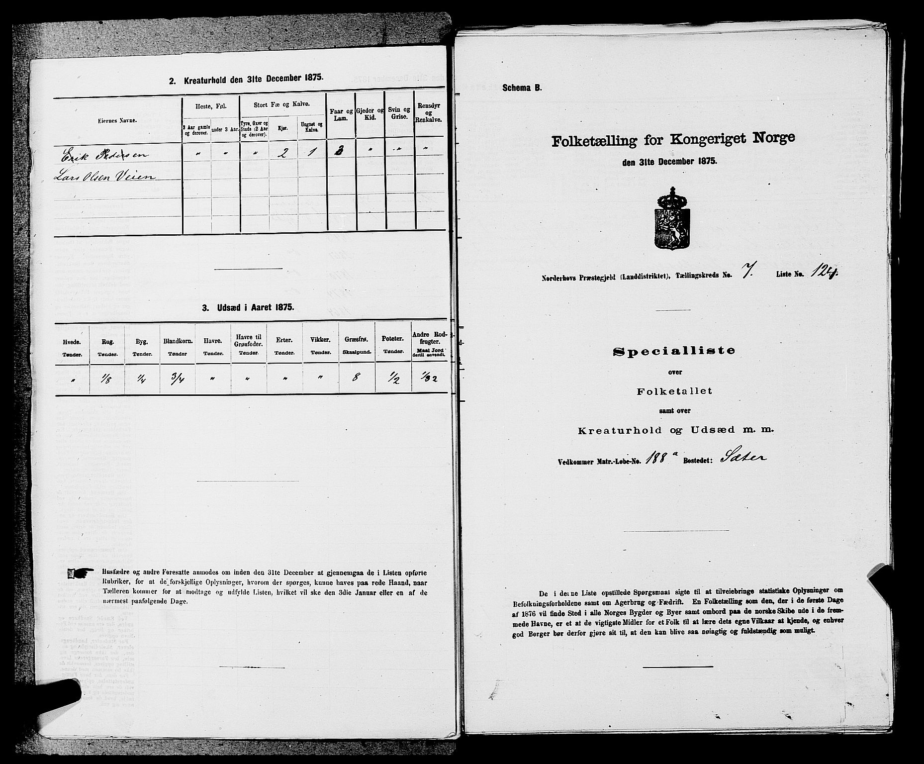 SAKO, Folketelling 1875 for 0613L Norderhov prestegjeld, Norderhov sokn, Haug sokn og Lunder sokn, 1875, s. 1232