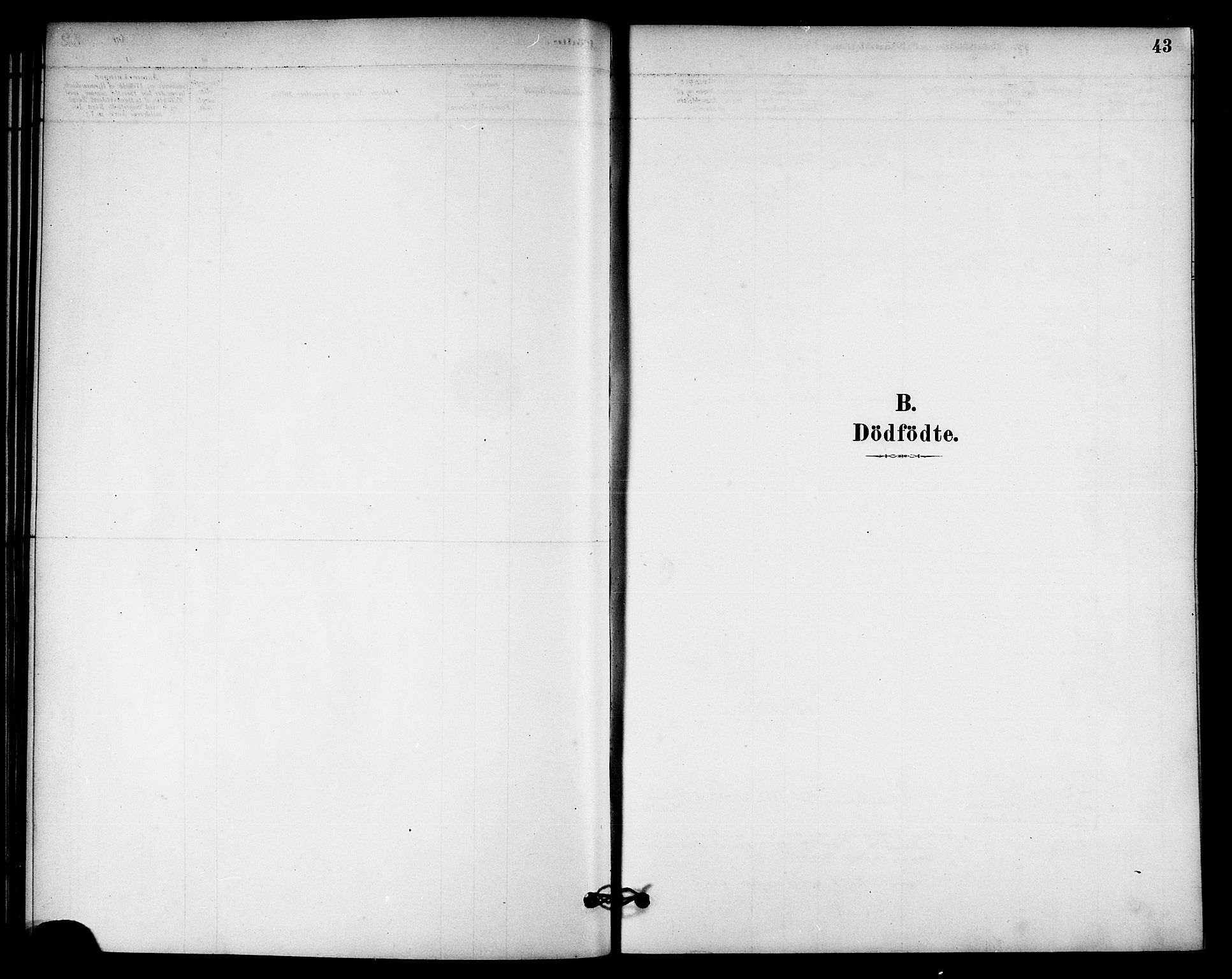 Ministerialprotokoller, klokkerbøker og fødselsregistre - Nord-Trøndelag, AV/SAT-A-1458/740/L0378: Ministerialbok nr. 740A01, 1881-1895, s. 43