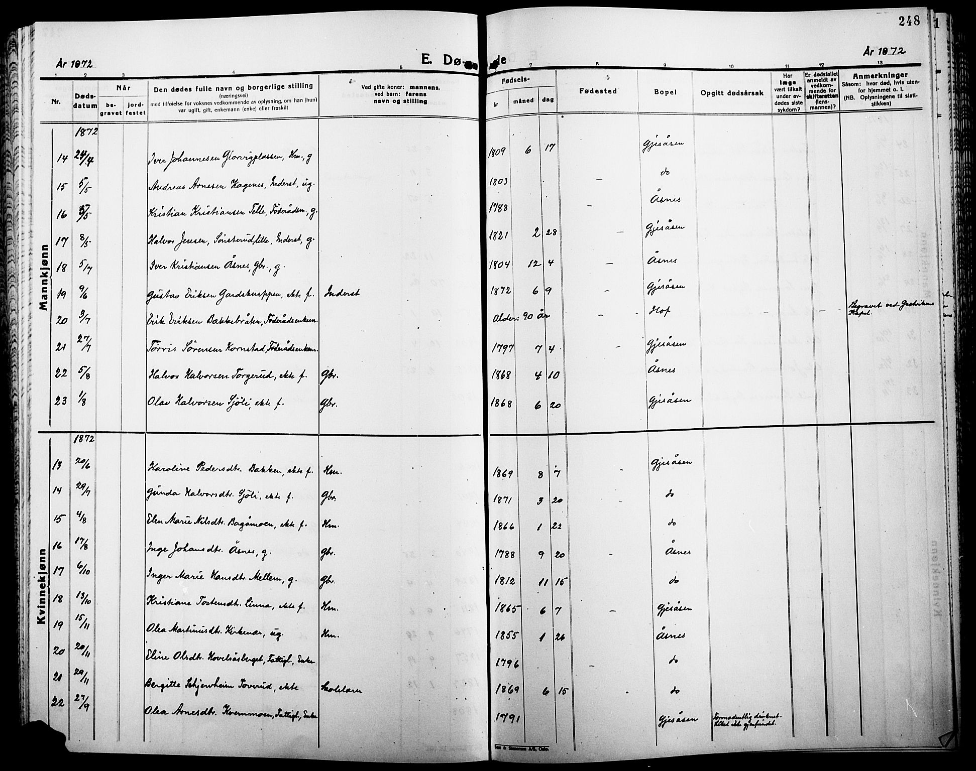 Åsnes prestekontor, SAH/PREST-042/H/Ha/Haa/L0000B: Ministerialbok, 1870-1889, s. 248