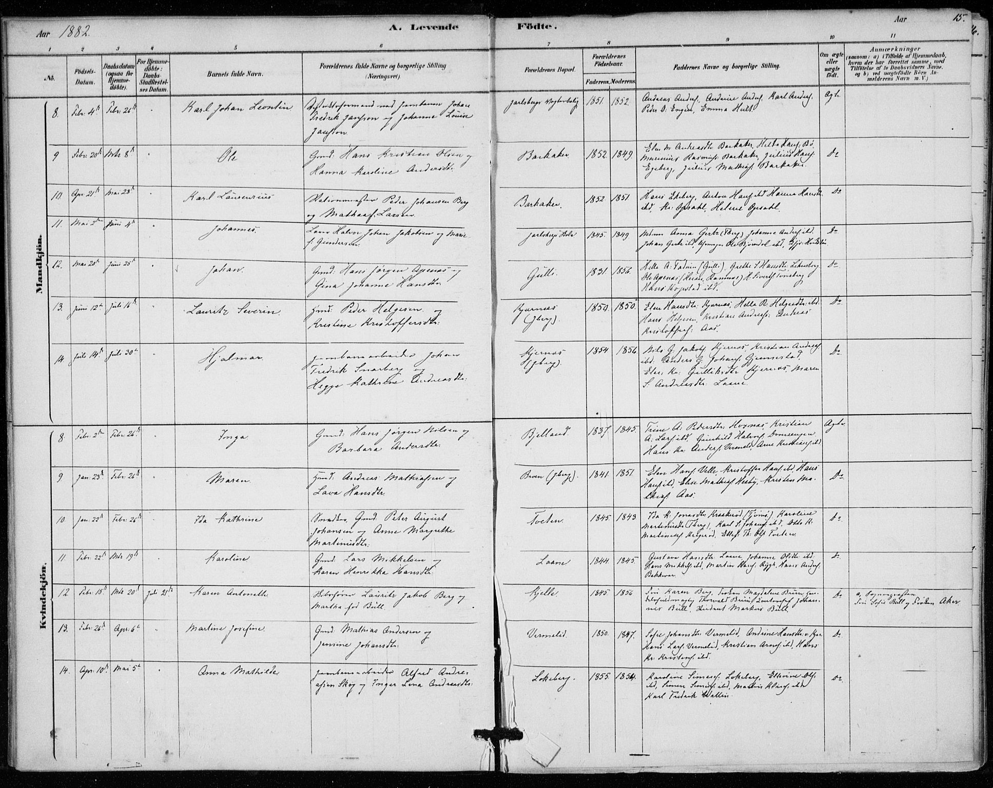 Sem kirkebøker, AV/SAKO-A-5/F/Fa/L0010: Ministerialbok nr. I 10, 1878-1887, s. 15