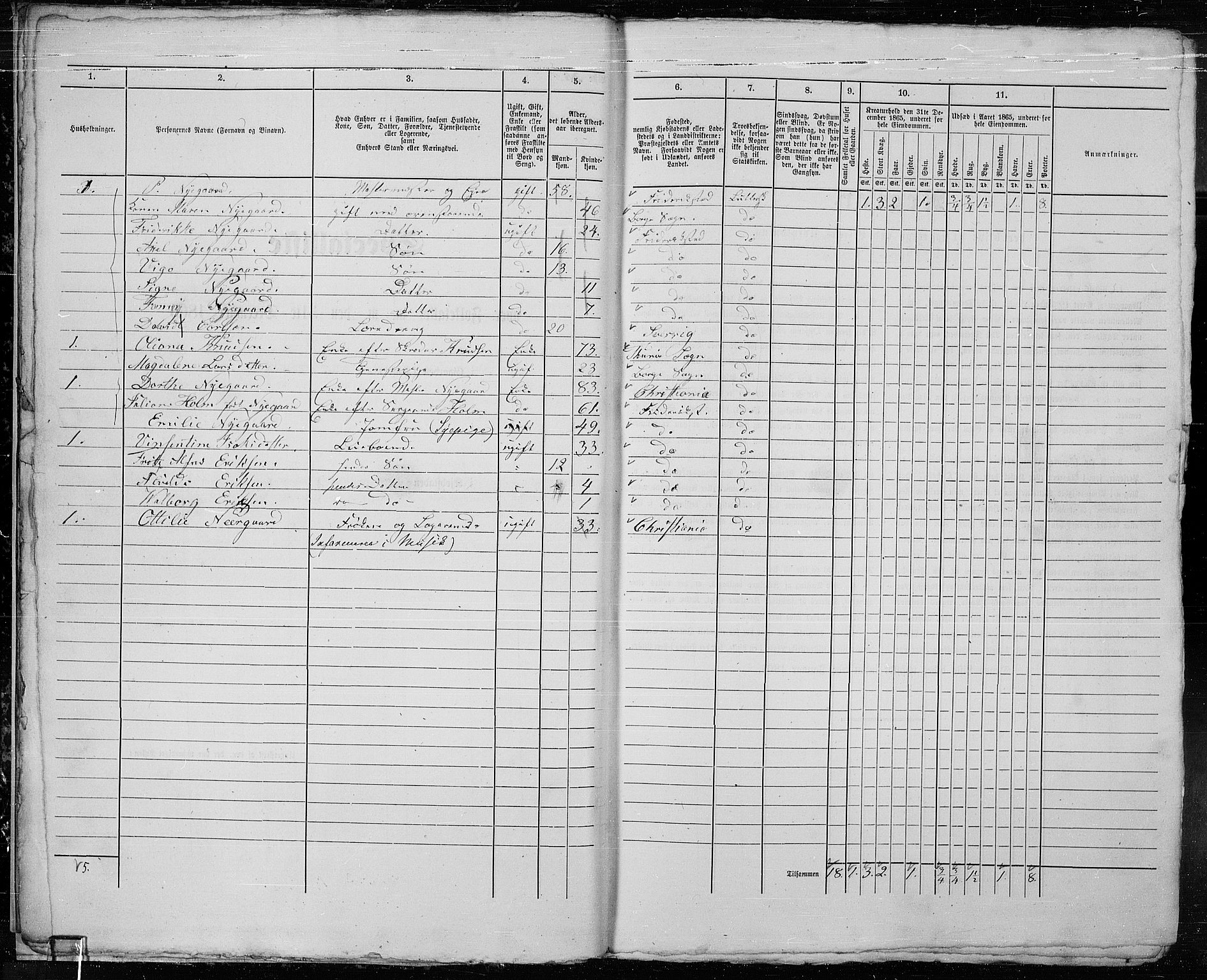 RA, Folketelling 1865 for 0103B Fredrikstad prestegjeld, Fredrikstad kjøpstad, 1865, s. 19