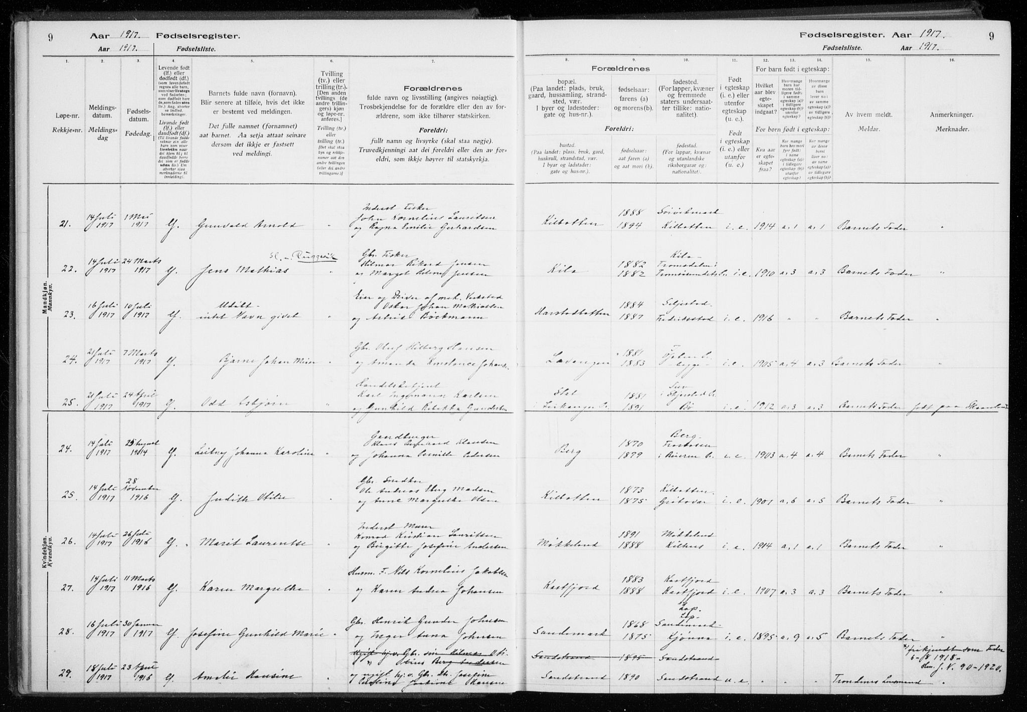 Trondenes sokneprestkontor, AV/SATØ-S-1319/I/Ia/L0089: Fødselsregister nr. 89, 1916-1925, s. 9