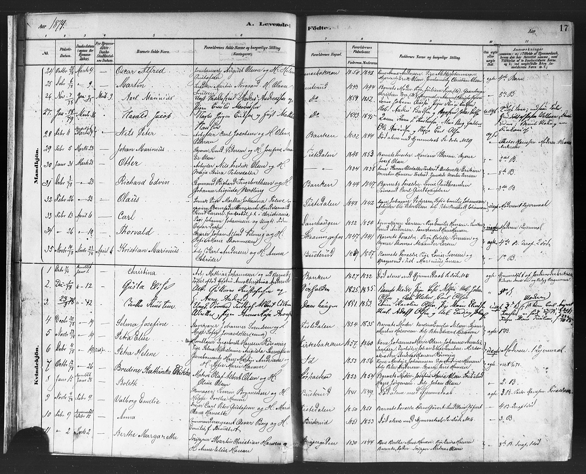 Halden prestekontor Kirkebøker, AV/SAO-A-10909/F/Fa/L0011: Ministerialbok nr. I 11, 1878-1889, s. 17