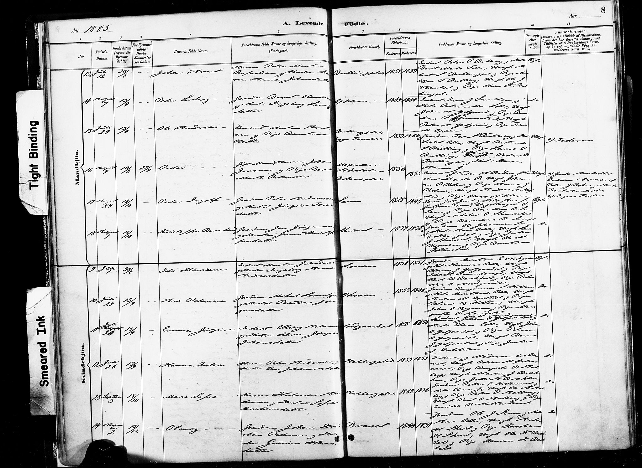Ministerialprotokoller, klokkerbøker og fødselsregistre - Nord-Trøndelag, SAT/A-1458/735/L0351: Ministerialbok nr. 735A10, 1884-1908, s. 8
