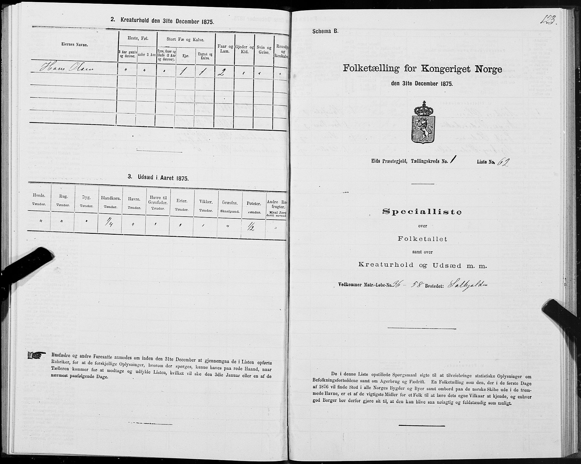 SAT, Folketelling 1875 for 1538P Eid prestegjeld, 1875, s. 1123