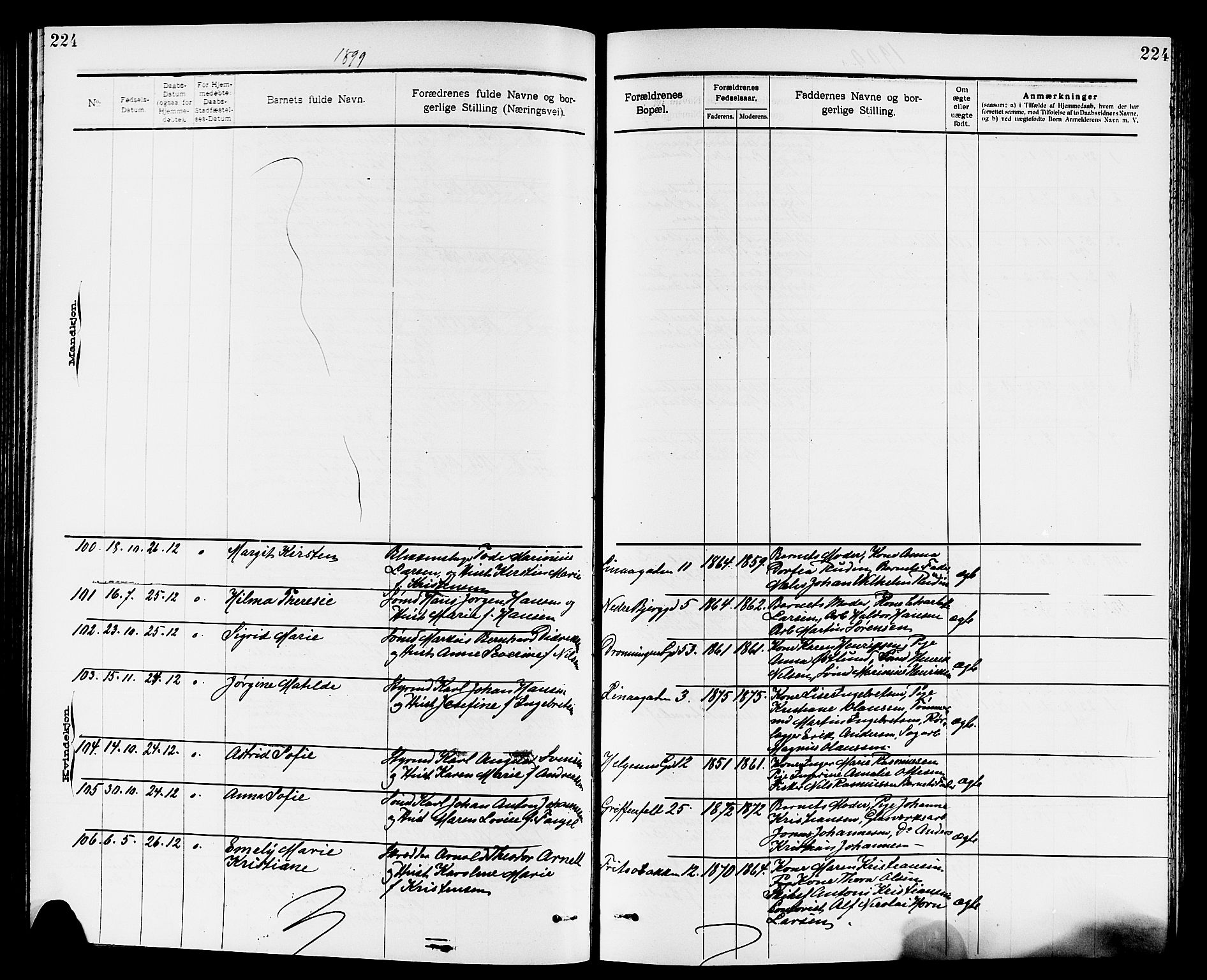 Larvik kirkebøker, AV/SAKO-A-352/G/Ga/L0005: Klokkerbok nr. I 5, 1888-1909, s. 224