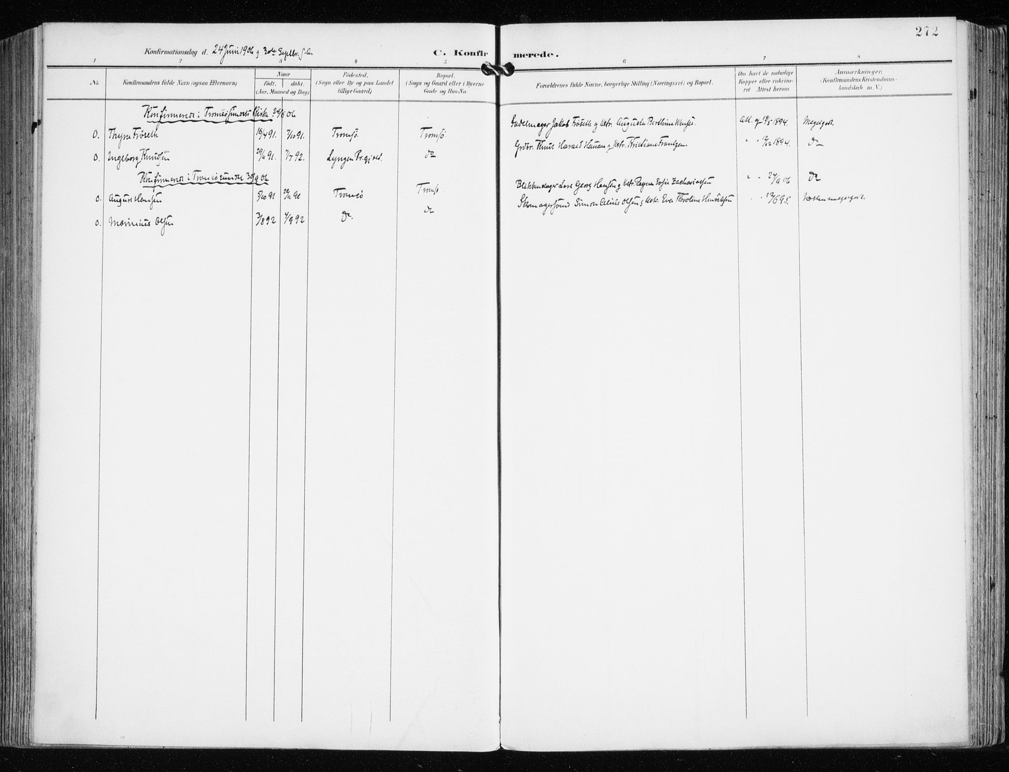 Tromsø sokneprestkontor/stiftsprosti/domprosti, AV/SATØ-S-1343/G/Ga/L0016kirke: Ministerialbok nr. 16, 1899-1906, s. 272
