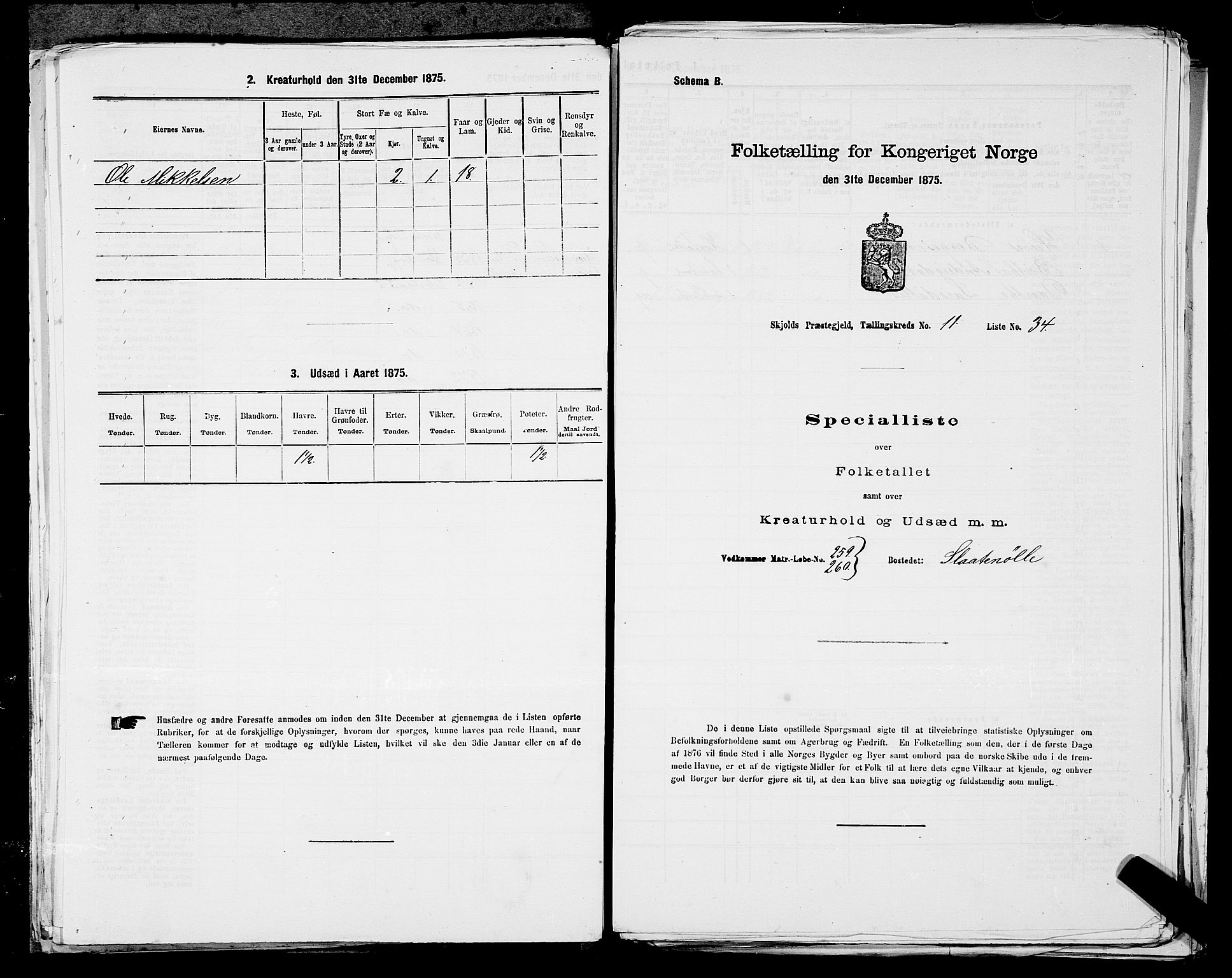 SAST, Folketelling 1875 for 1154P Skjold prestegjeld, 1875, s. 1174