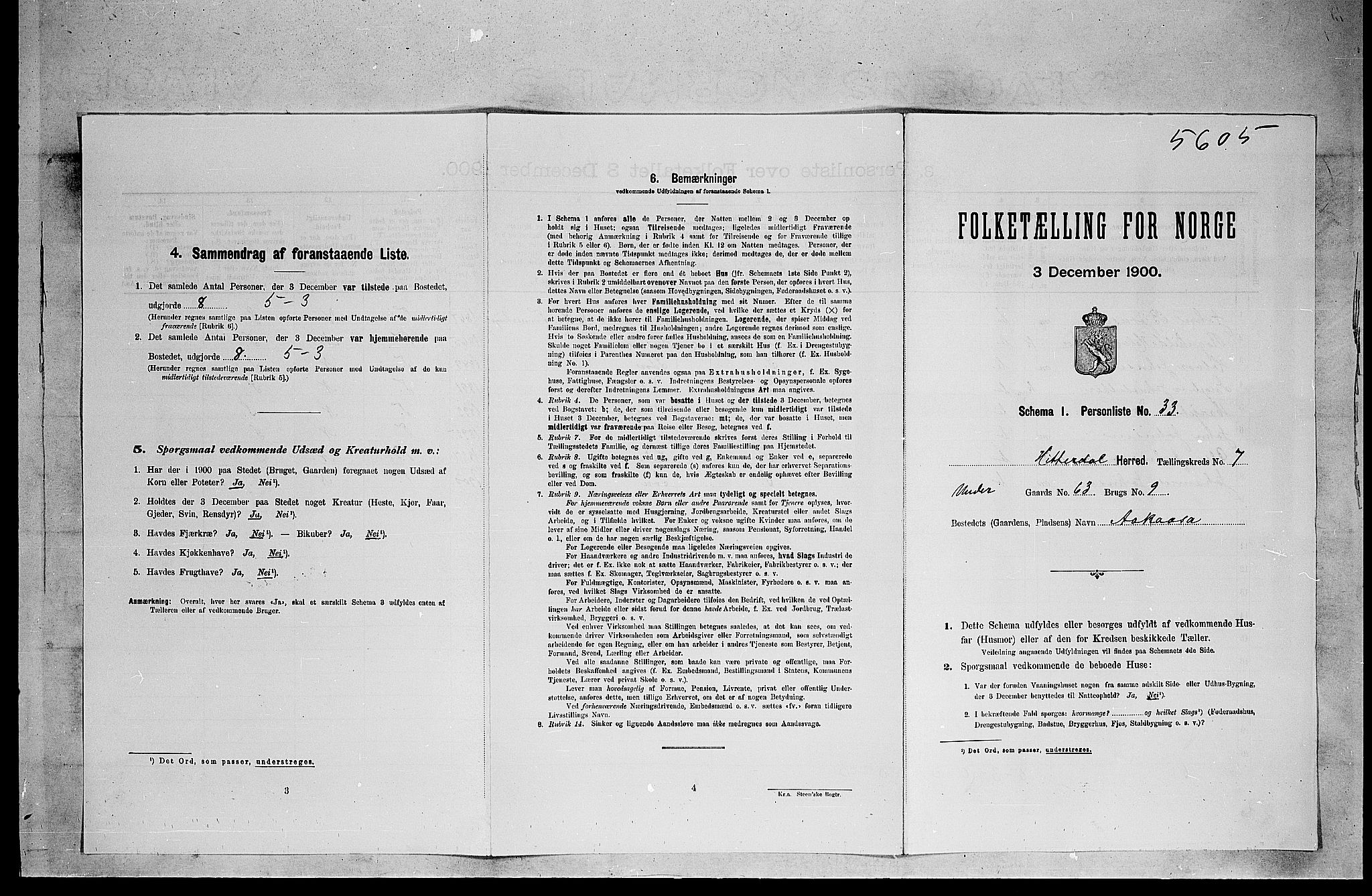 SAKO, Folketelling 1900 for 0823 Heddal herred, 1900, s. 996