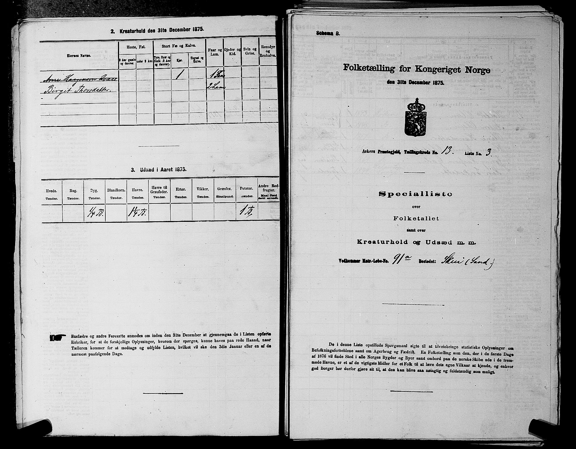 RA, Folketelling 1875 for 0220P Asker prestegjeld, 1875, s. 2267