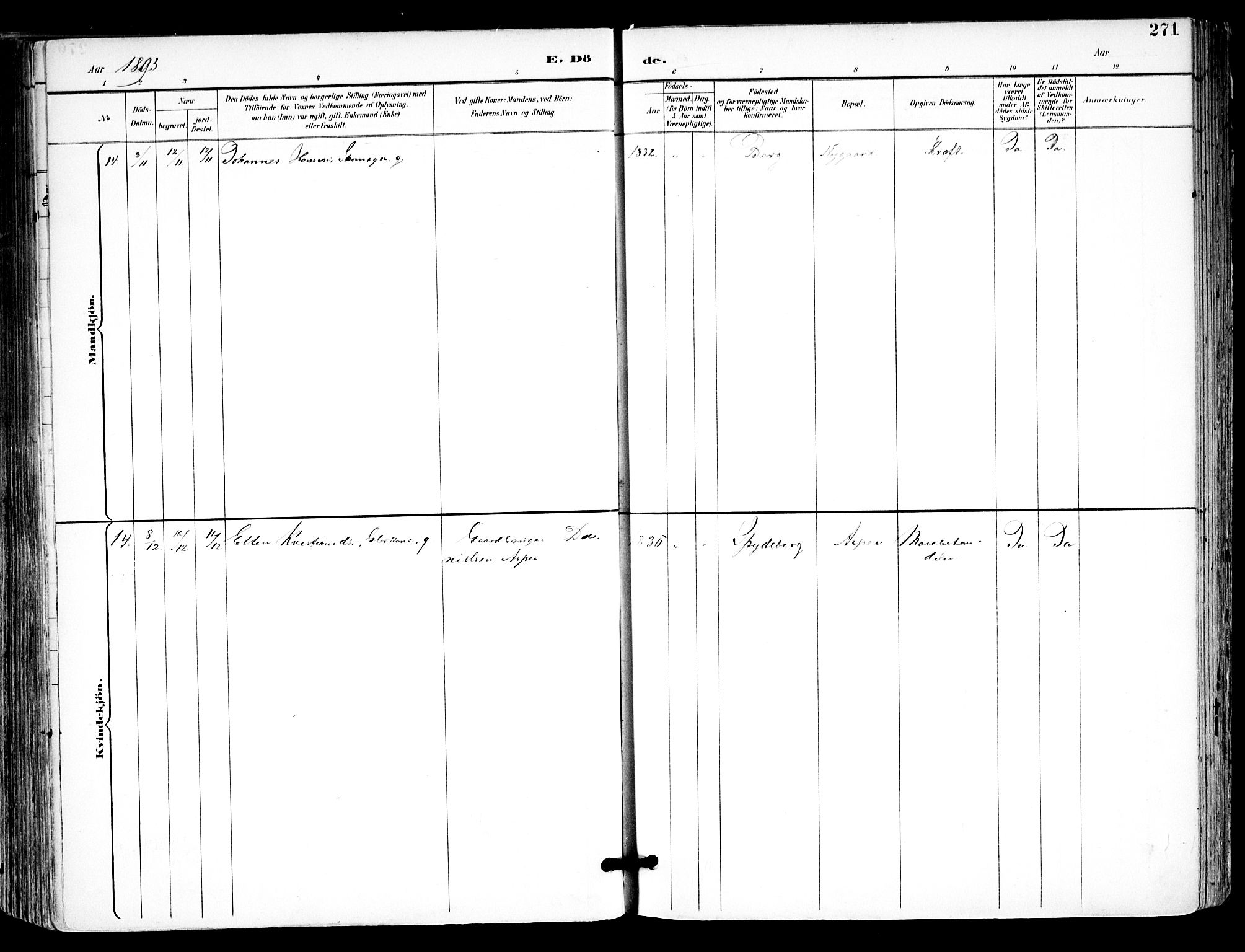 Kråkstad prestekontor Kirkebøker, SAO/A-10125a/F/Fa/L0010: Ministerialbok nr. I 10, 1893-1931, s. 271