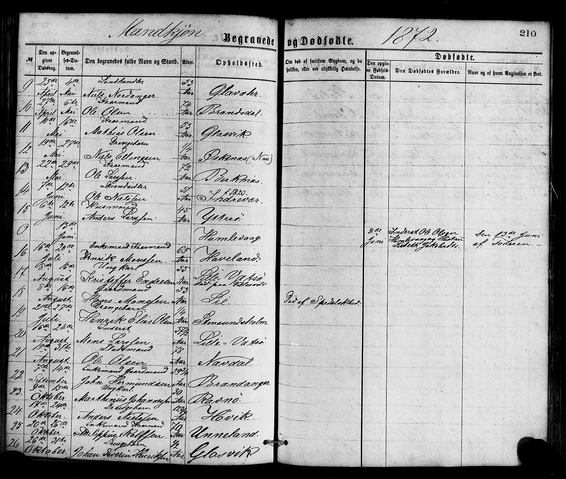 Gulen sokneprestembete, AV/SAB-A-80201/H/Haa/Haaa/L0023: Ministerialbok nr. A 23, 1870-1880, s. 210