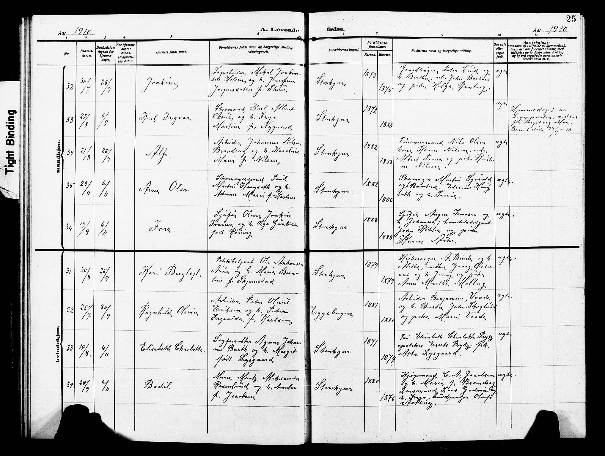 Ministerialprotokoller, klokkerbøker og fødselsregistre - Nord-Trøndelag, AV/SAT-A-1458/739/L0376: Klokkerbok nr. 739C04, 1908-1917, s. 25