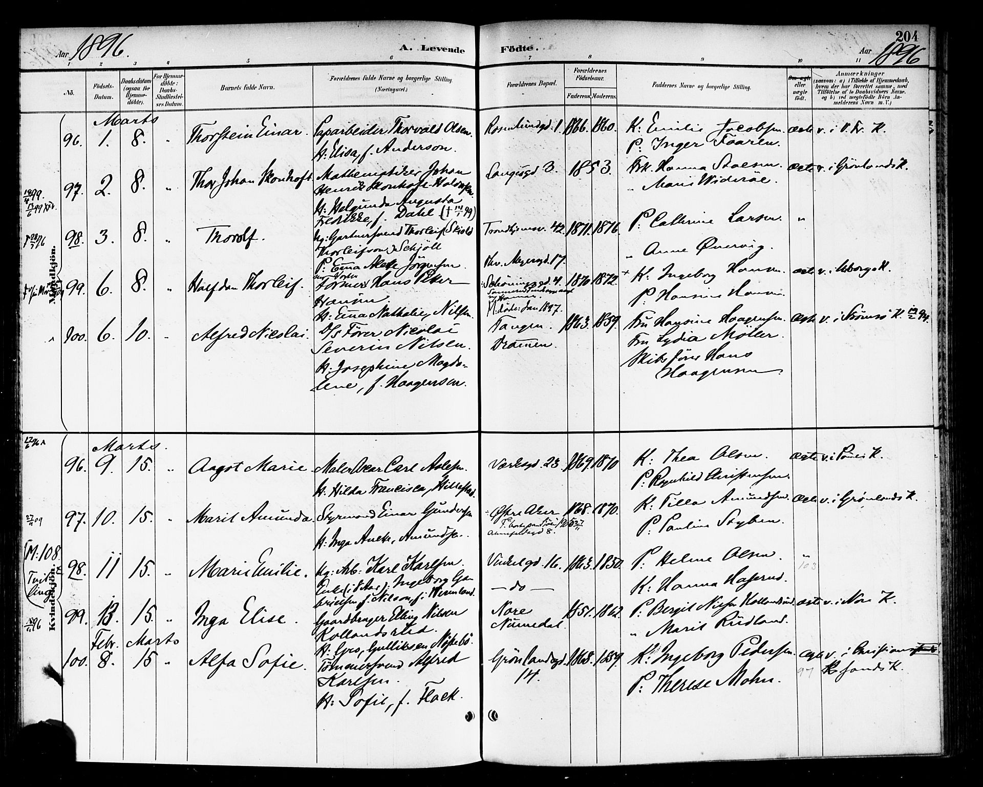 Rikshospitalet prestekontor Kirkebøker, AV/SAO-A-10309b/F/L0009: Ministerialbok nr. 9, 1894-1897, s. 204