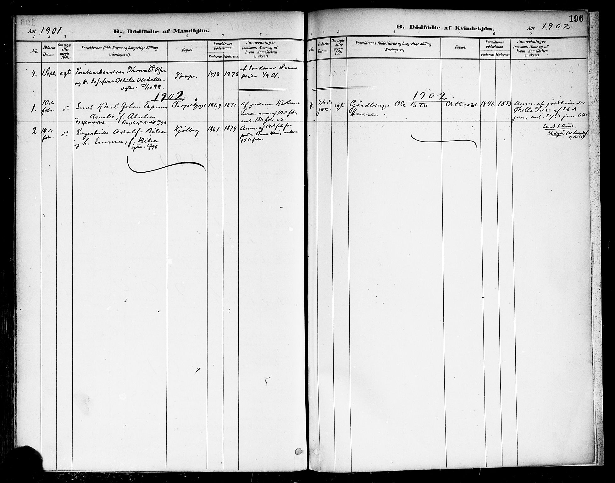 Borge prestekontor Kirkebøker, SAO/A-10903/F/Fa/L0008: Ministerialbok nr. I 8A, 1887-1902, s. 196