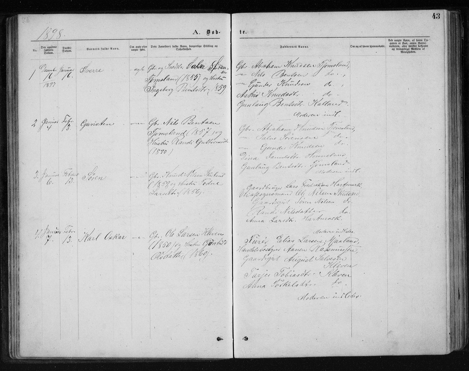 Holum sokneprestkontor, AV/SAK-1111-0022/F/Fb/Fbb/L0003: Klokkerbok nr. B 3, 1875-1898, s. 43