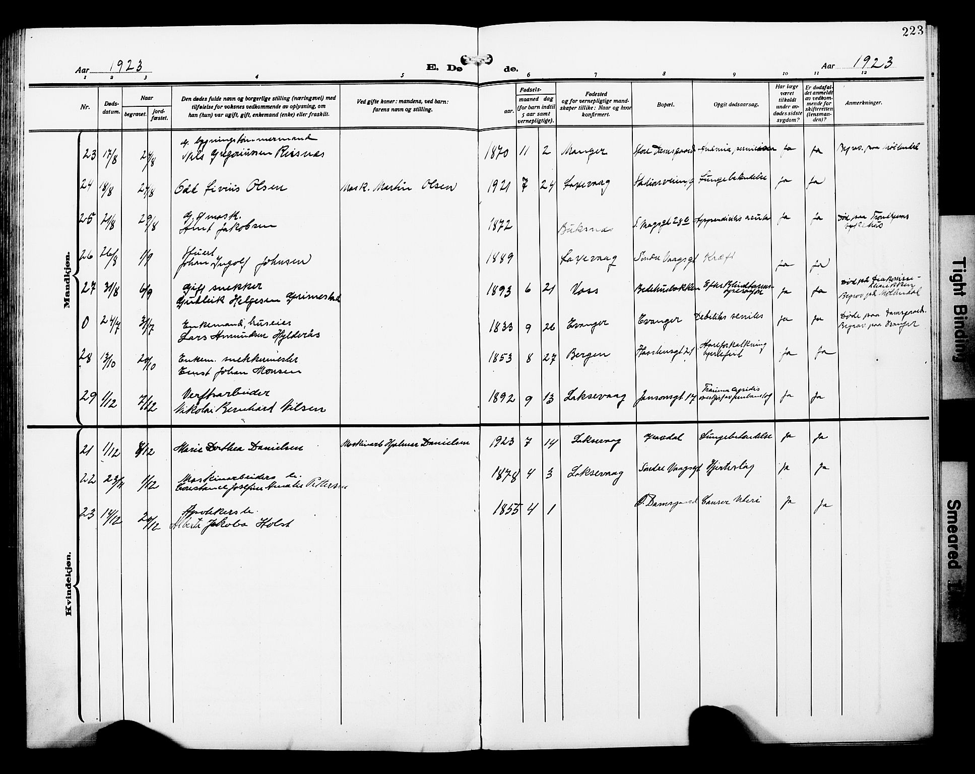 Laksevåg Sokneprestembete, AV/SAB-A-76501/H/Ha/Hab/Haba/L0006: Klokkerbok nr. A 6, 1917-1925, s. 223