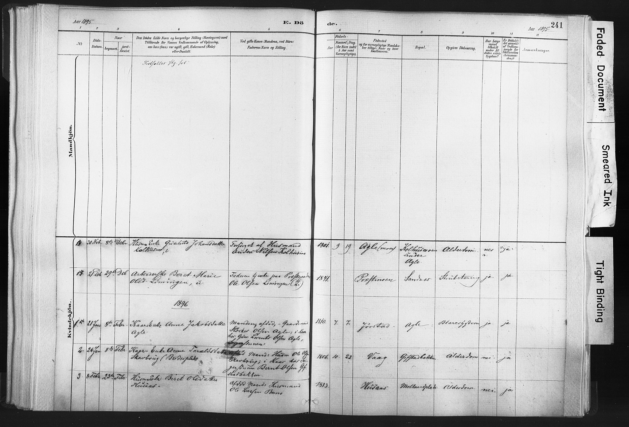 Ministerialprotokoller, klokkerbøker og fødselsregistre - Nord-Trøndelag, AV/SAT-A-1458/749/L0474: Ministerialbok nr. 749A08, 1887-1903, s. 241