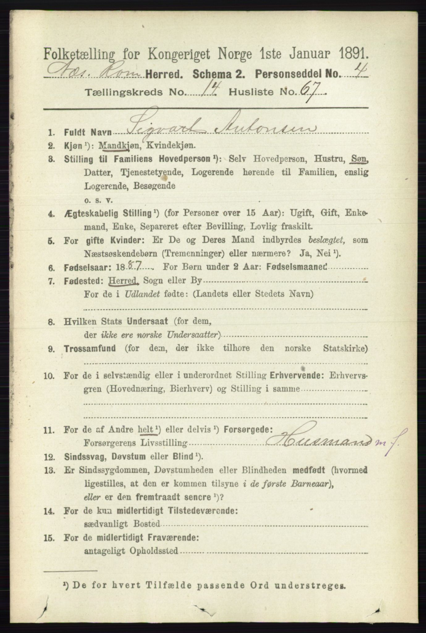 RA, Folketelling 1891 for 0236 Nes herred, 1891, s. 8869