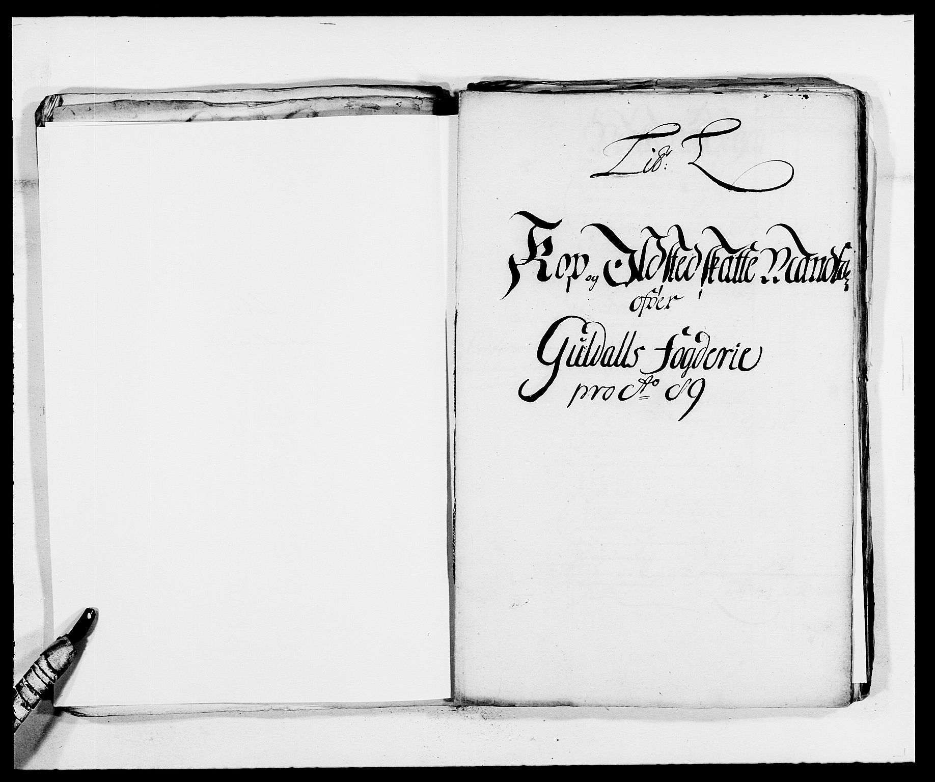 Rentekammeret inntil 1814, Reviderte regnskaper, Fogderegnskap, RA/EA-4092/R59/L3940: Fogderegnskap Gauldal, 1689-1690, s. 110
