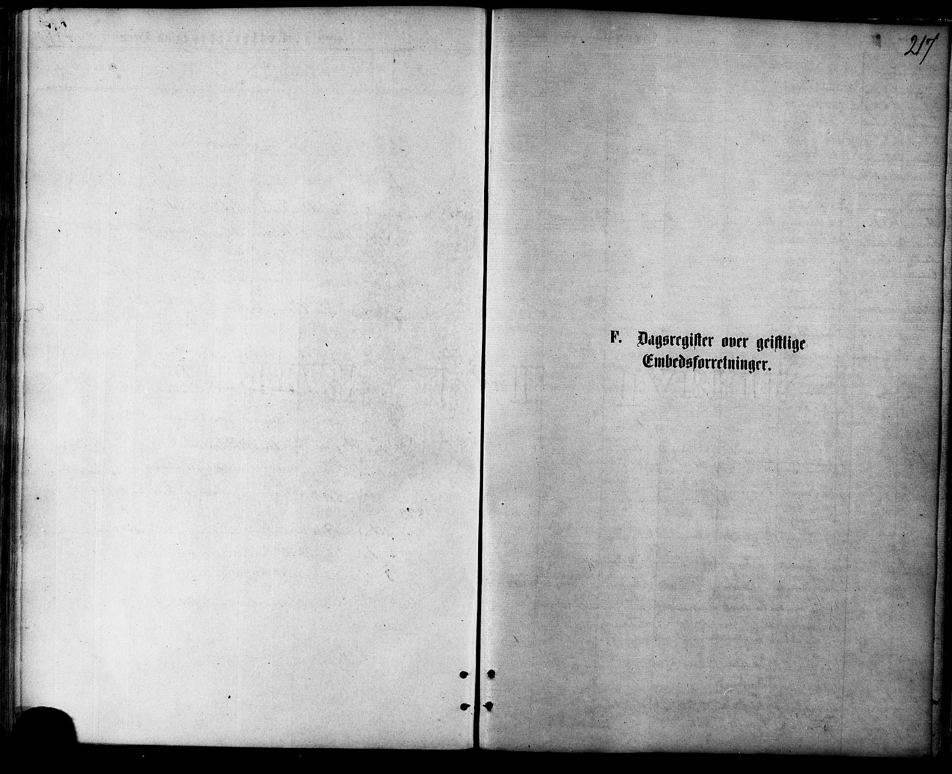 Balsfjord sokneprestembete, AV/SATØ-S-1303/G/Gaa/L0004kirke: Ministerialbok nr. 4, 1871-1883, s. 217