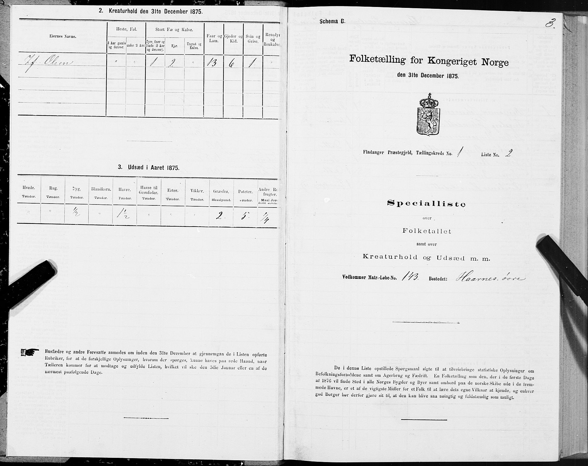 SAT, Folketelling 1875 for 1749P Flatanger prestegjeld, 1875, s. 1003