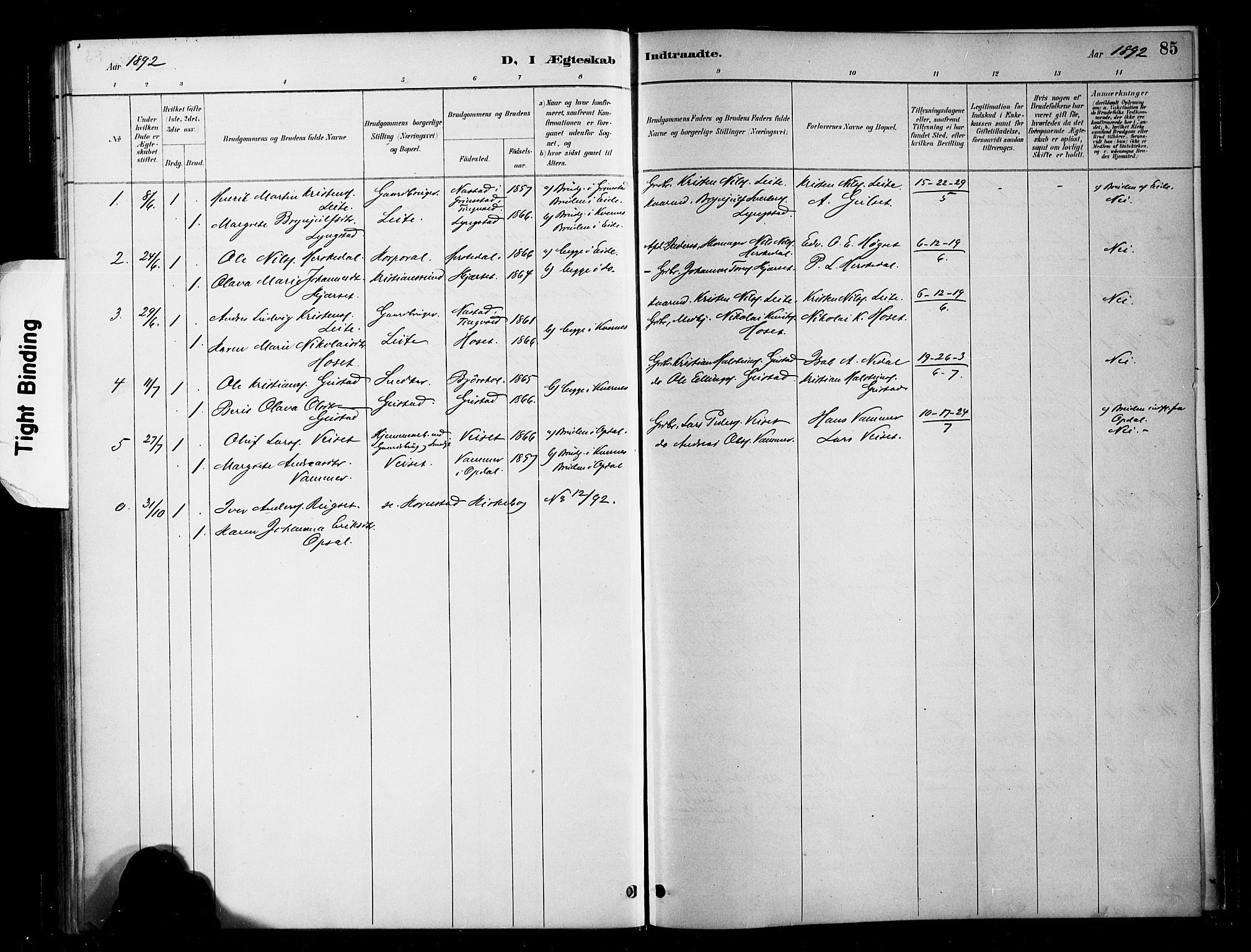 Ministerialprotokoller, klokkerbøker og fødselsregistre - Møre og Romsdal, AV/SAT-A-1454/568/L0809: Ministerialbok nr. 568A13, 1884-1900, s. 85