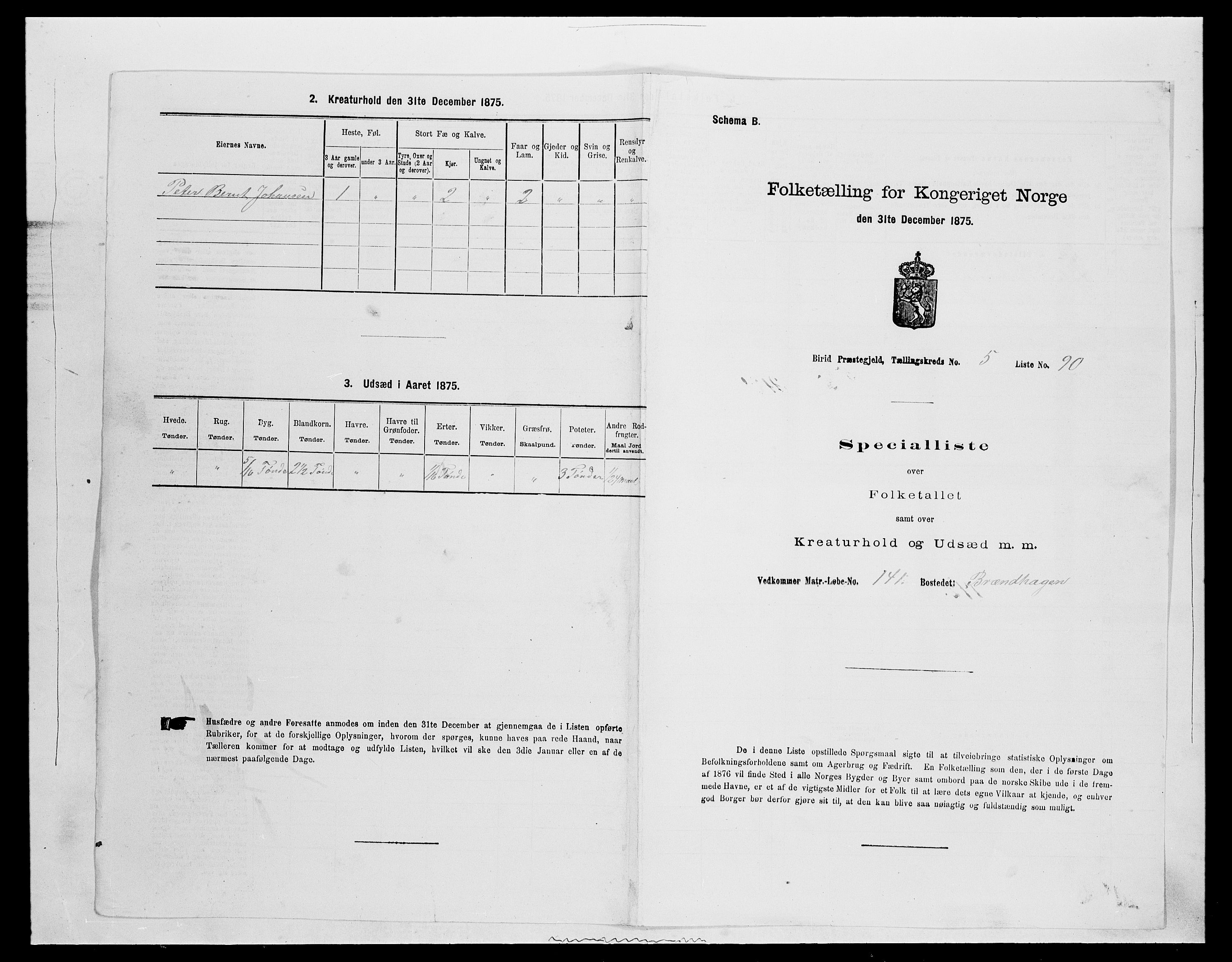 SAH, Folketelling 1875 for 0525P Biri prestegjeld, 1875, s. 1121