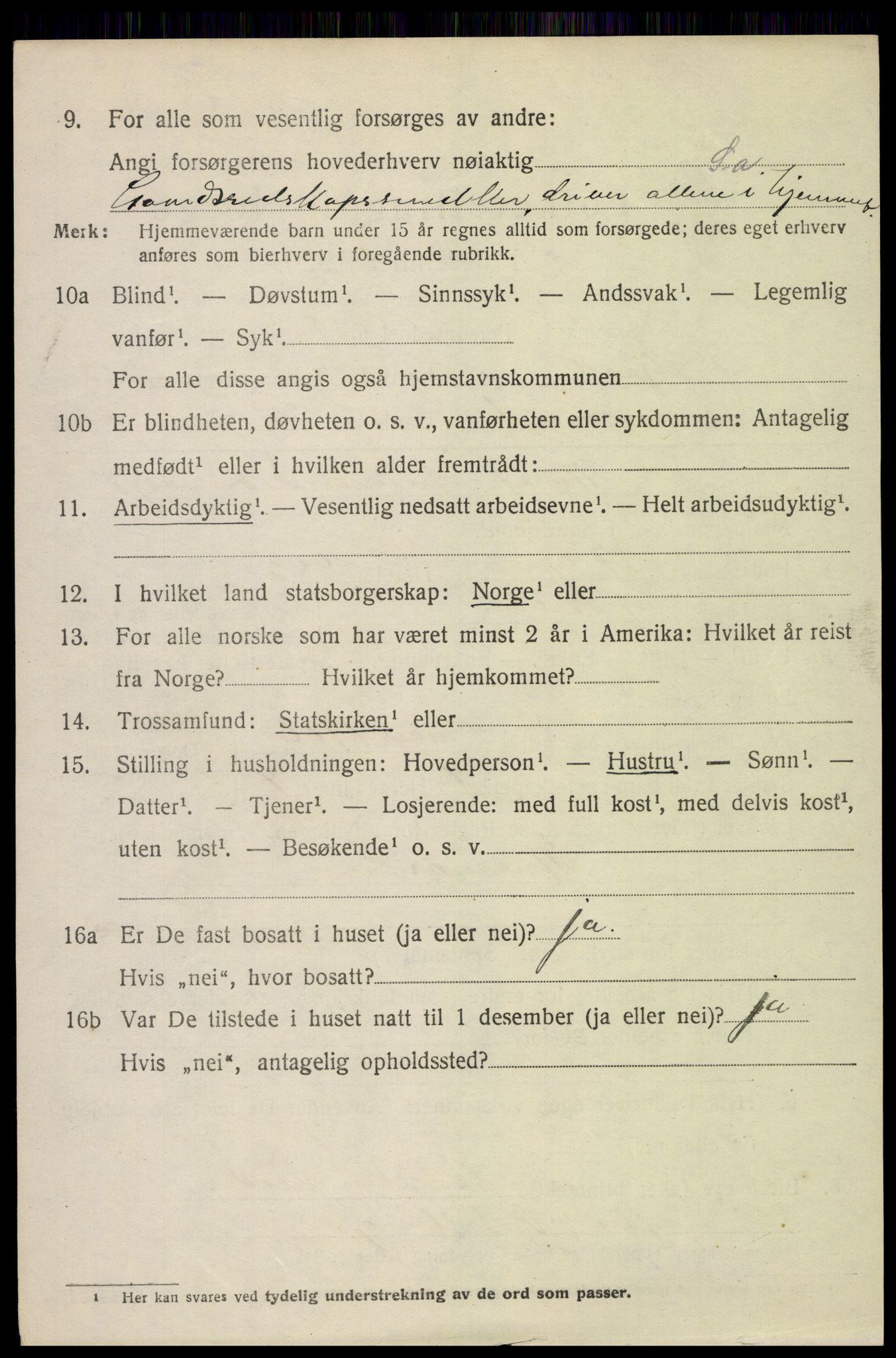 SAH, Folketelling 1920 for 0513 Skjåk herred, 1920, s. 5183