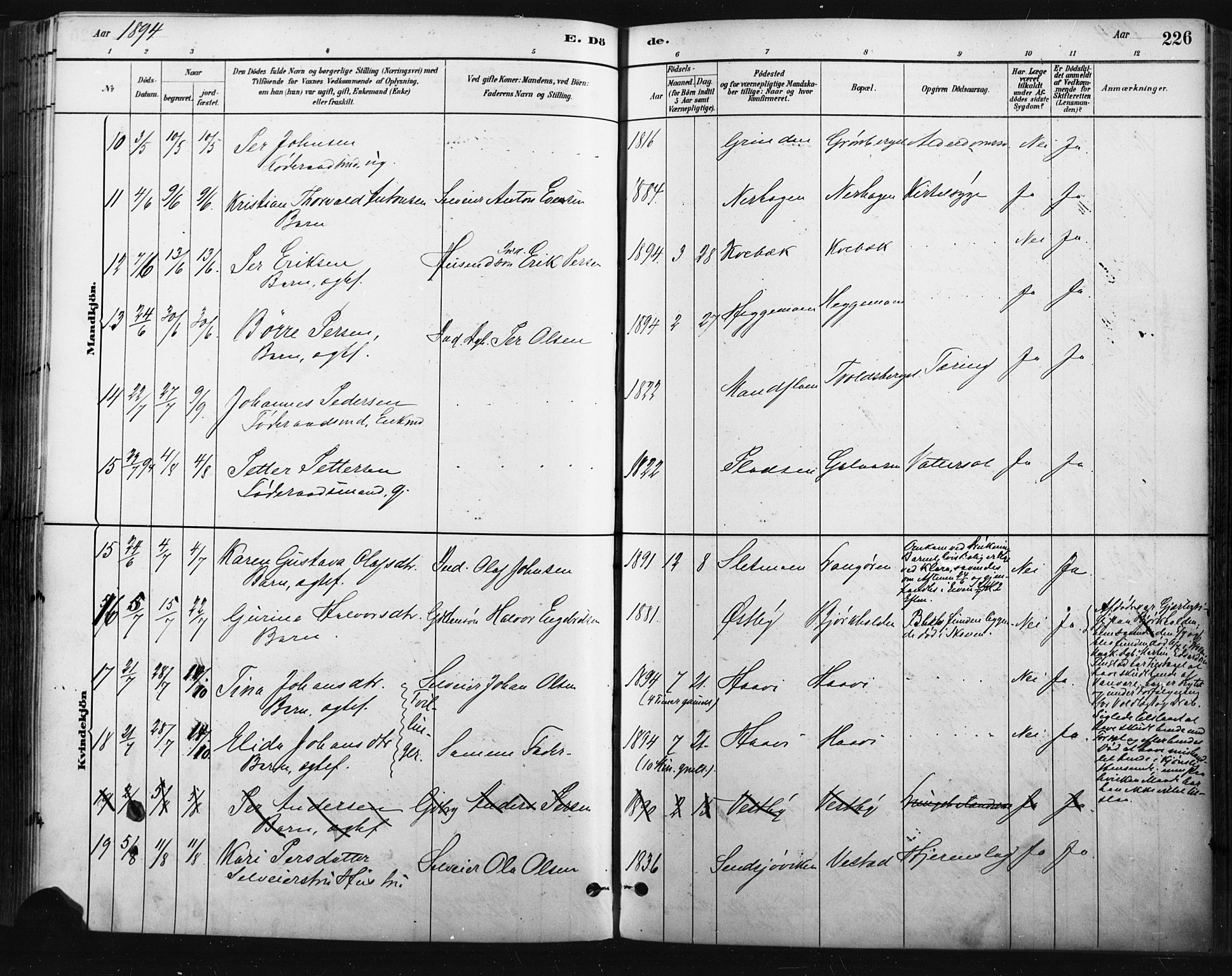 Trysil prestekontor, AV/SAH-PREST-046/H/Ha/Haa/L0009: Ministerialbok nr. 9, 1881-1897, s. 226