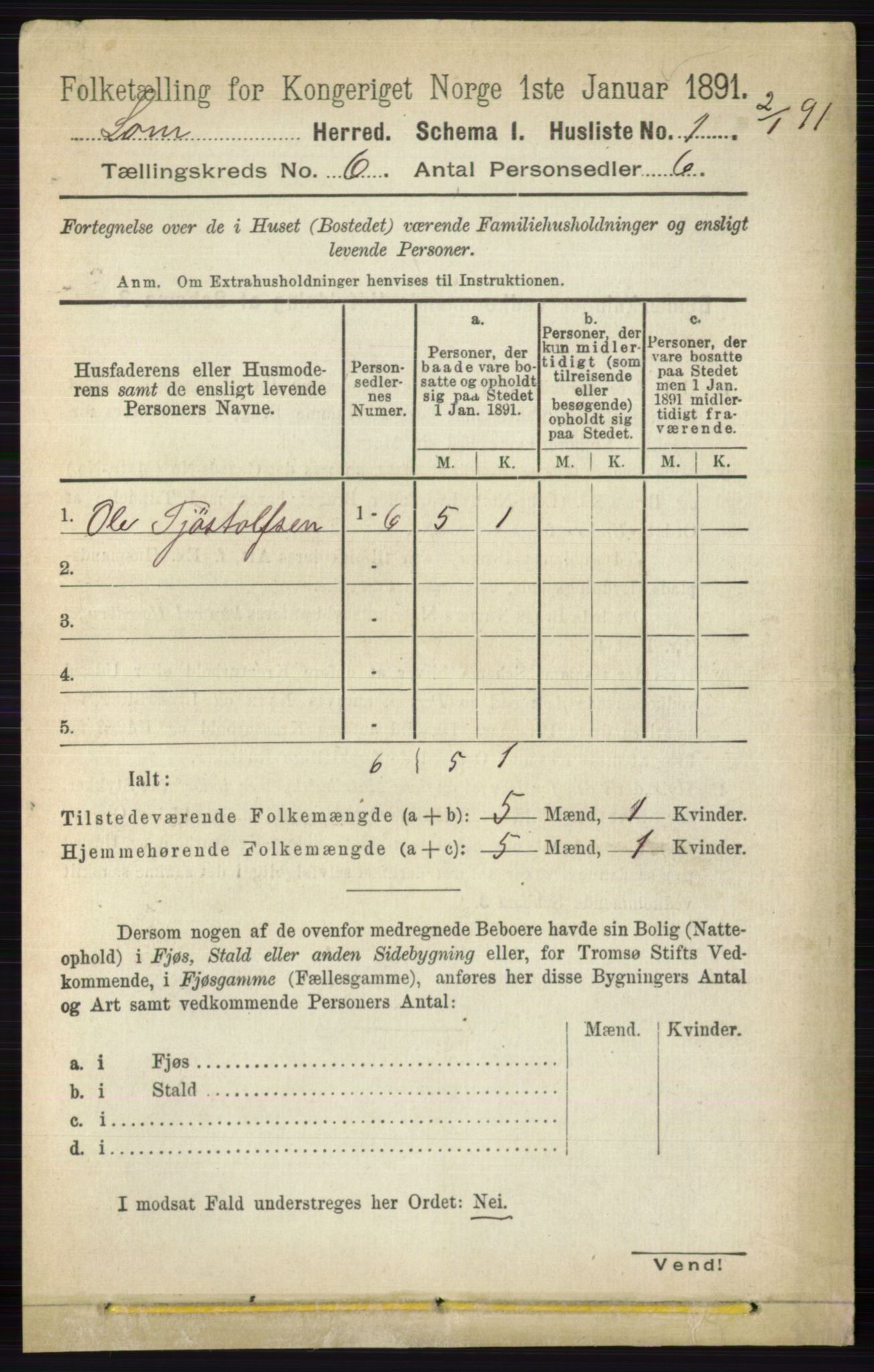 RA, Folketelling 1891 for 0514 Lom herred, 1891, s. 2304