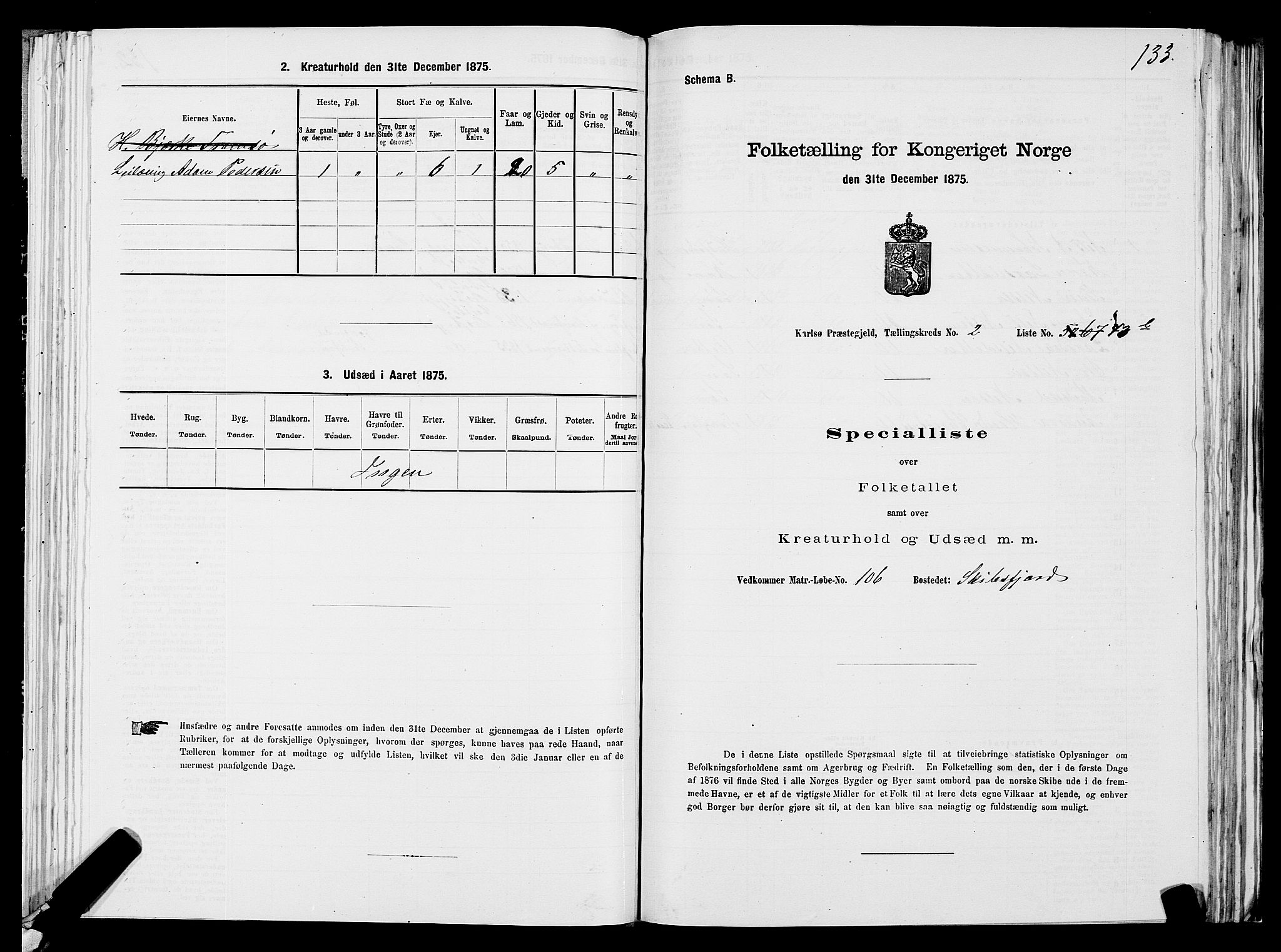 SATØ, Folketelling 1875 for 1936P Karlsøy prestegjeld, 1875, s. 2133