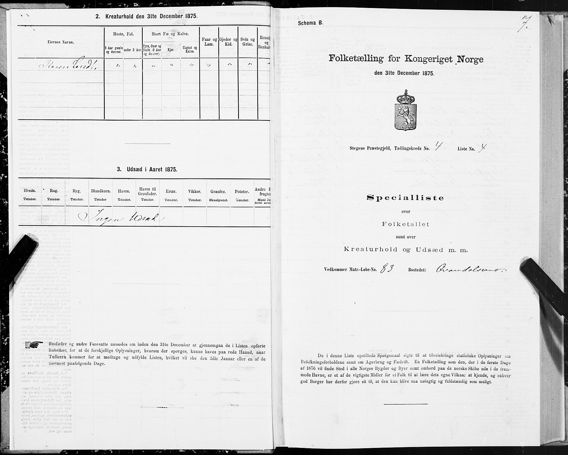 SAT, Folketelling 1875 for 1848P Steigen prestegjeld, 1875, s. 2007