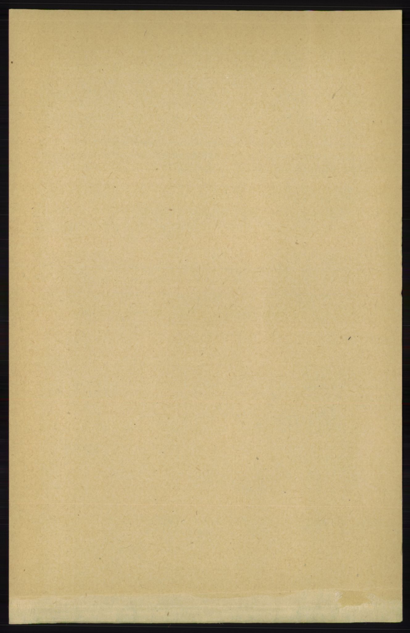 RA, Folketelling 1891 for 1155 Vats herred, 1891, s. 447