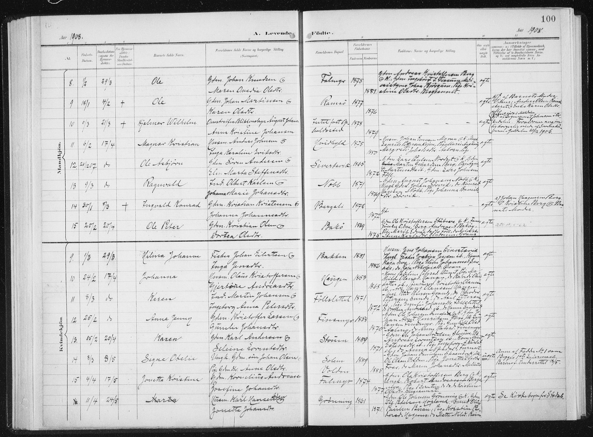 Ministerialprotokoller, klokkerbøker og fødselsregistre - Sør-Trøndelag, SAT/A-1456/647/L0635: Ministerialbok nr. 647A02, 1896-1911, s. 100