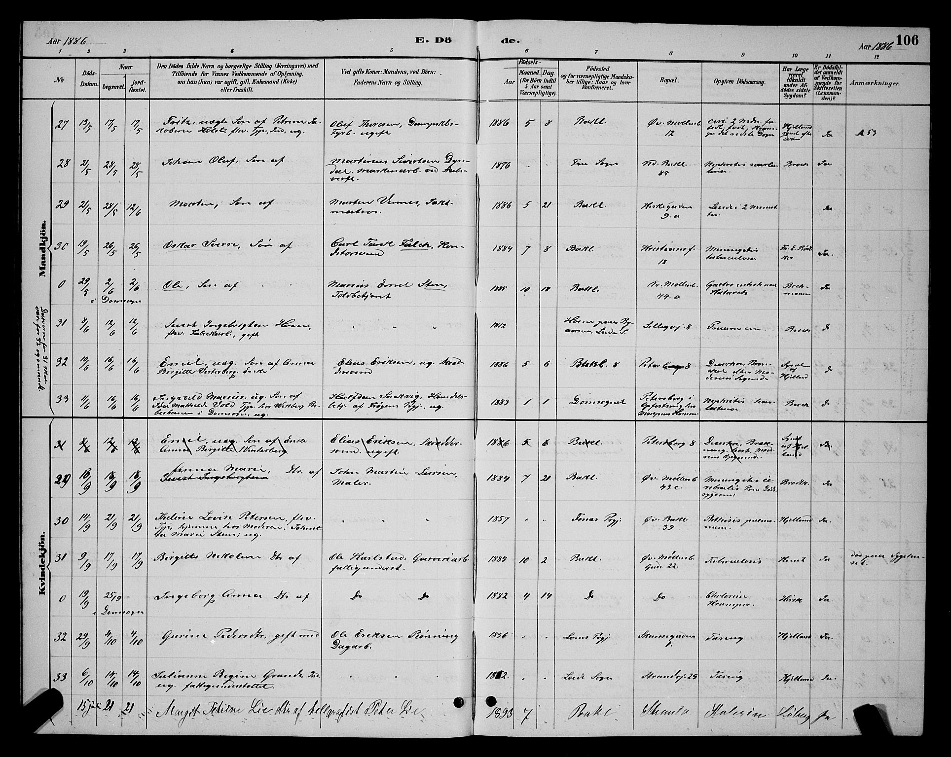 Ministerialprotokoller, klokkerbøker og fødselsregistre - Sør-Trøndelag, SAT/A-1456/604/L0223: Klokkerbok nr. 604C06, 1886-1897, s. 106