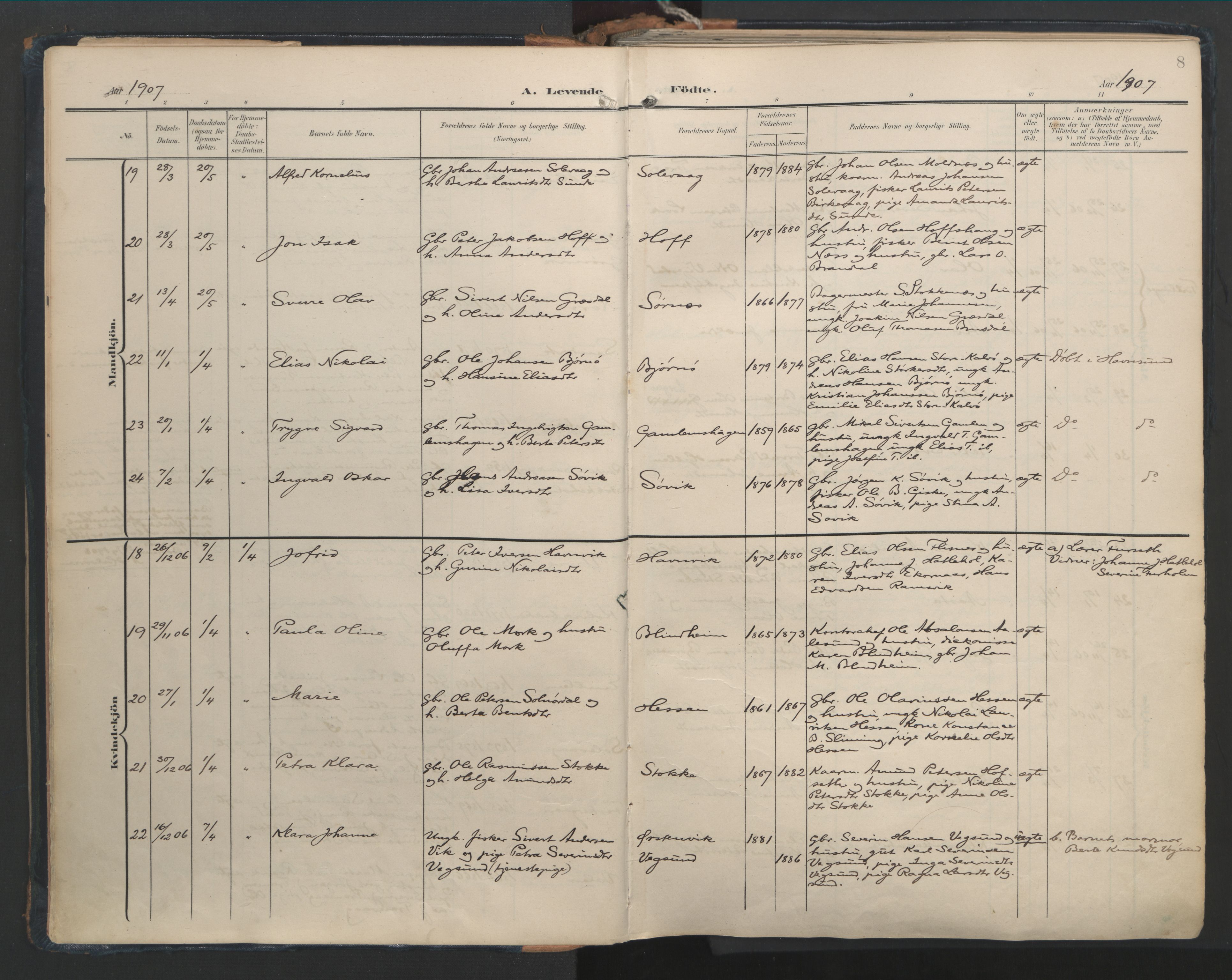 Ministerialprotokoller, klokkerbøker og fødselsregistre - Møre og Romsdal, AV/SAT-A-1454/528/L0411: Ministerialbok nr. 528A20, 1907-1920, s. 8