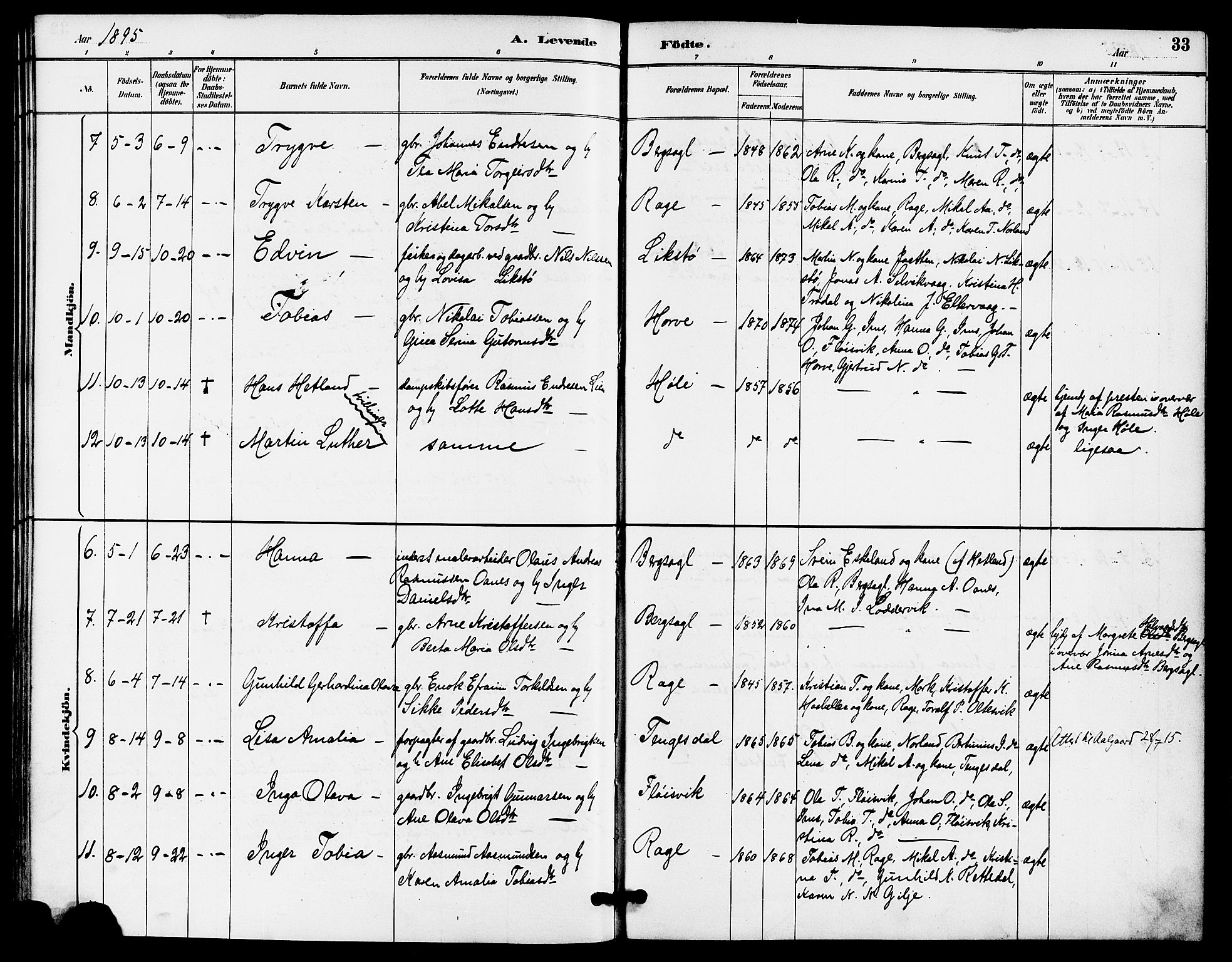 Høgsfjord sokneprestkontor, AV/SAST-A-101624/H/Ha/Haa/L0005: Ministerialbok nr. A 5, 1885-1897, s. 33