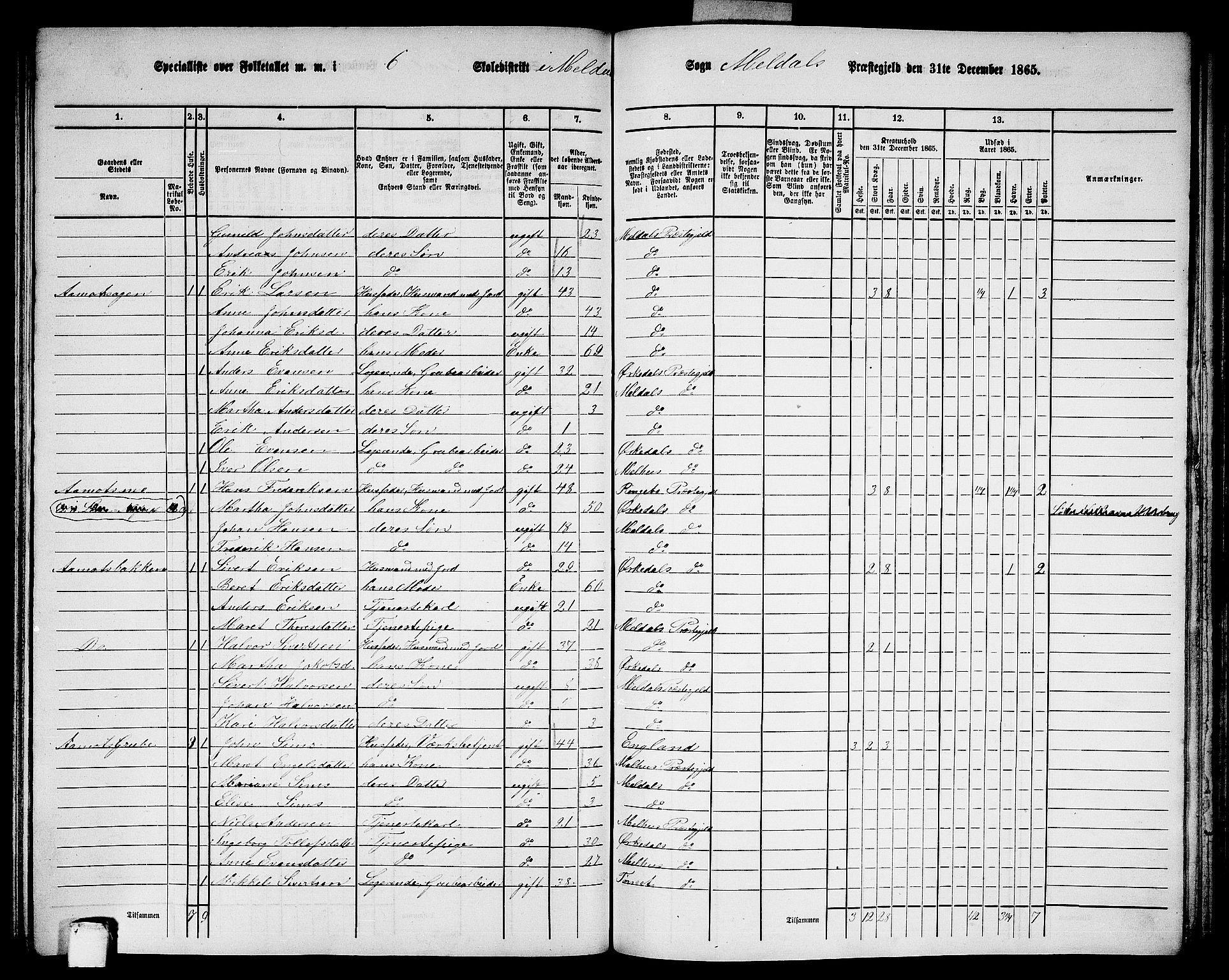 RA, Folketelling 1865 for 1636P Meldal prestegjeld, 1865, s. 141
