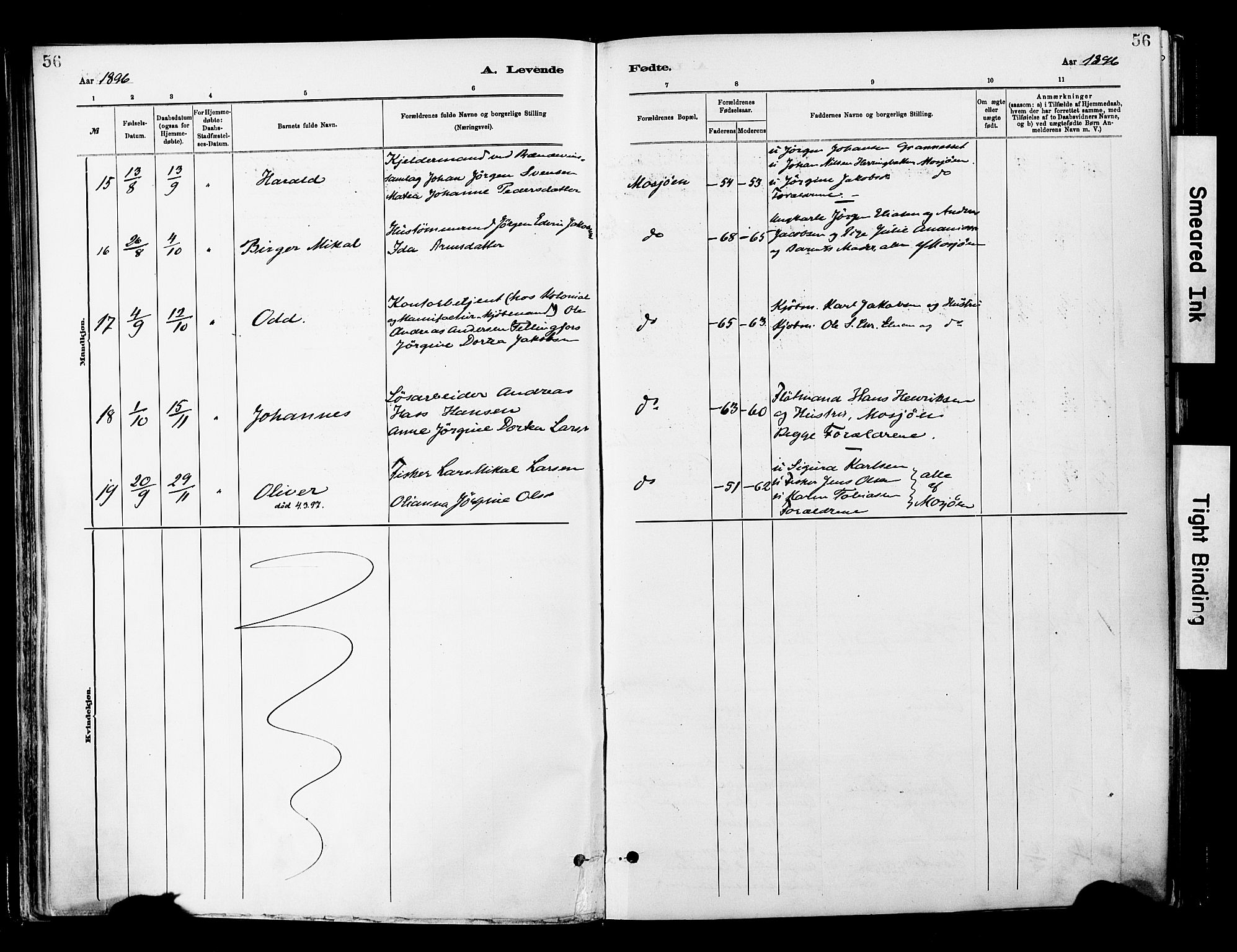 Ministerialprotokoller, klokkerbøker og fødselsregistre - Nordland, AV/SAT-A-1459/820/L0296: Ministerialbok nr. 820A17, 1880-1903, s. 56