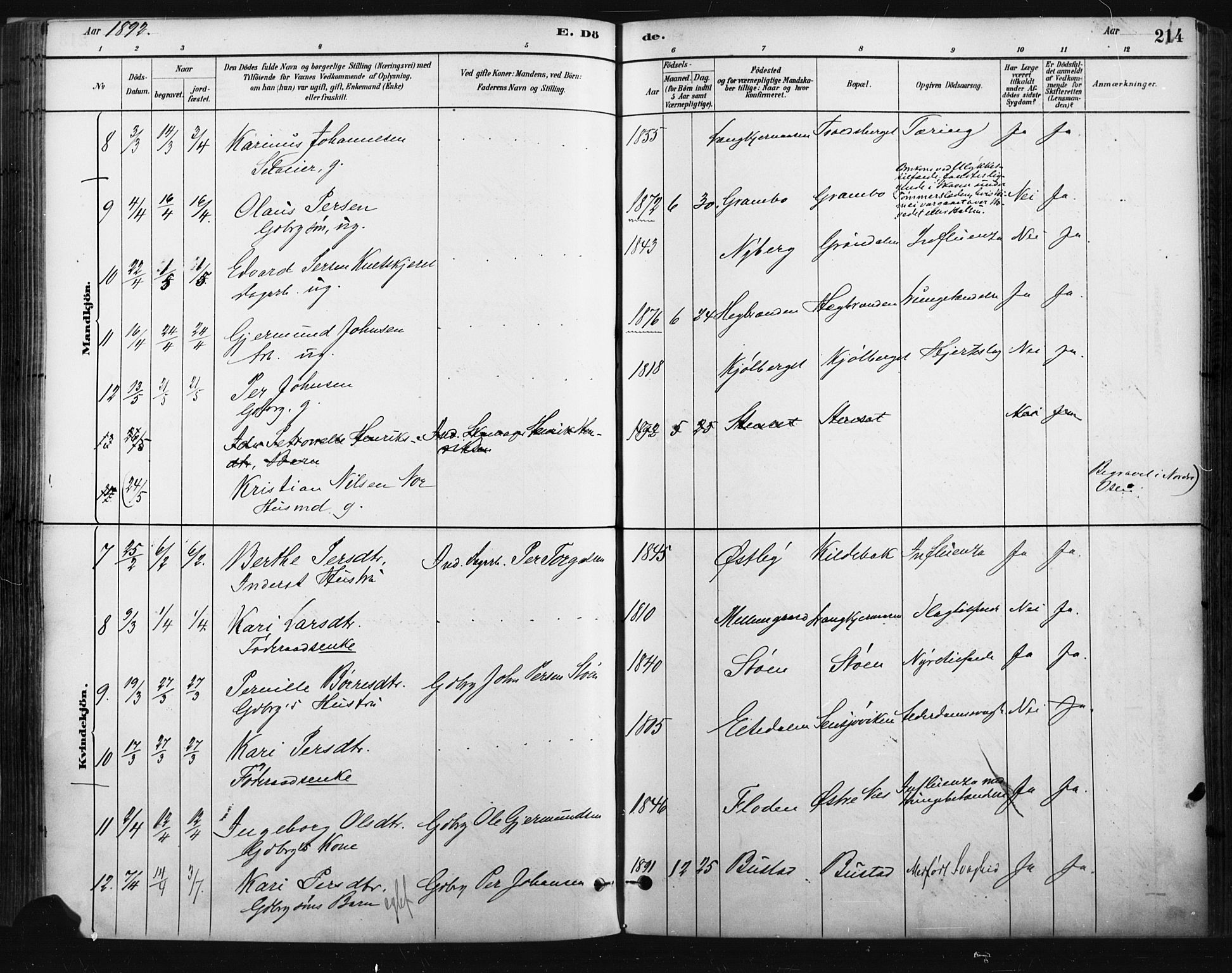 Trysil prestekontor, SAH/PREST-046/H/Ha/Haa/L0009: Ministerialbok nr. 9, 1881-1897, s. 214