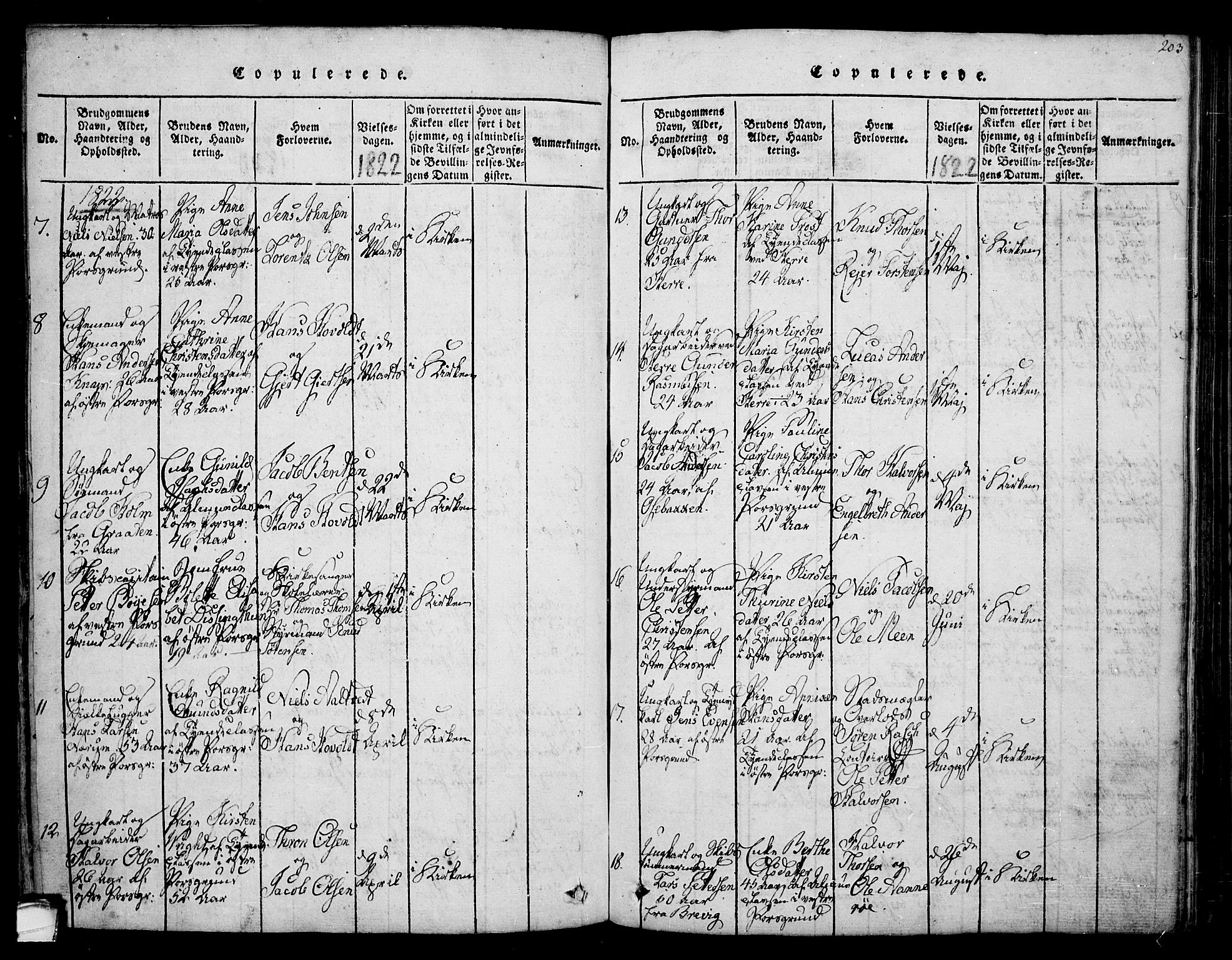 Porsgrunn kirkebøker , AV/SAKO-A-104/F/Fa/L0004: Ministerialbok nr. 4, 1814-1828, s. 203